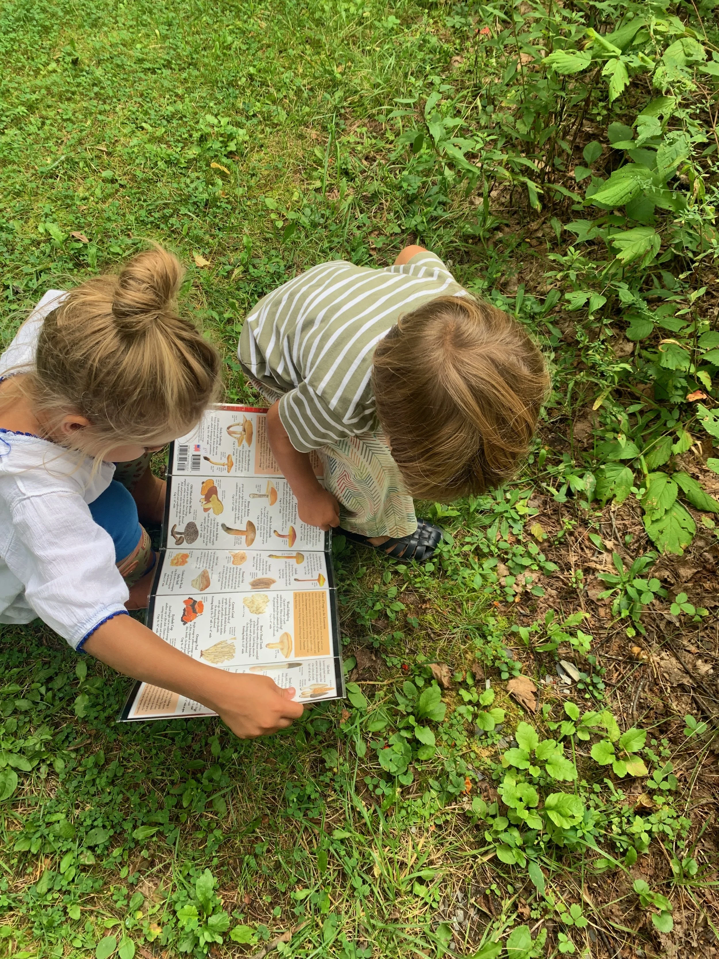 Arts & Letters United School | PreK through 2nd Grade | Spring Gardening & Cooking Afterschool Program