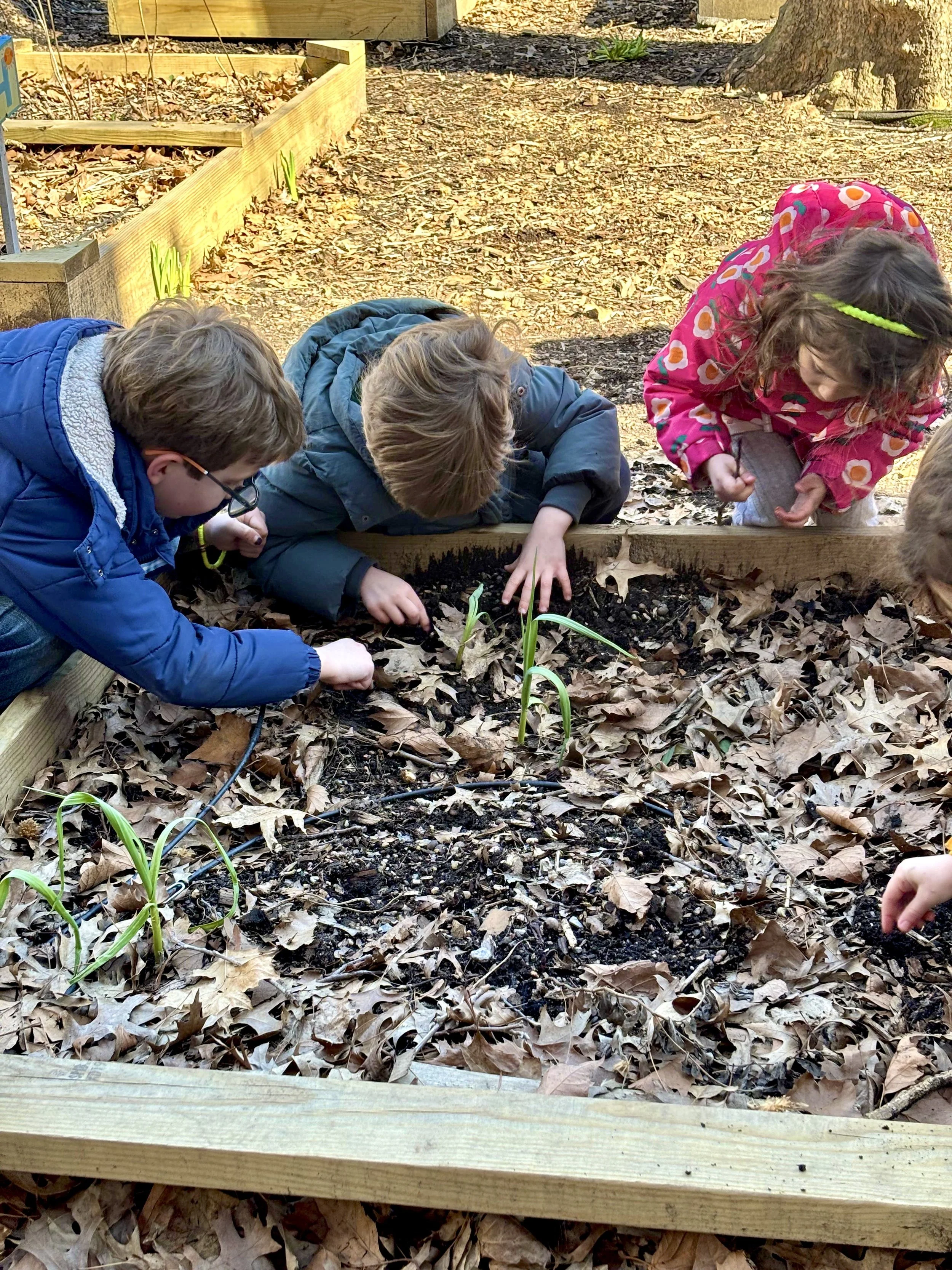 planting seeds.jpeg