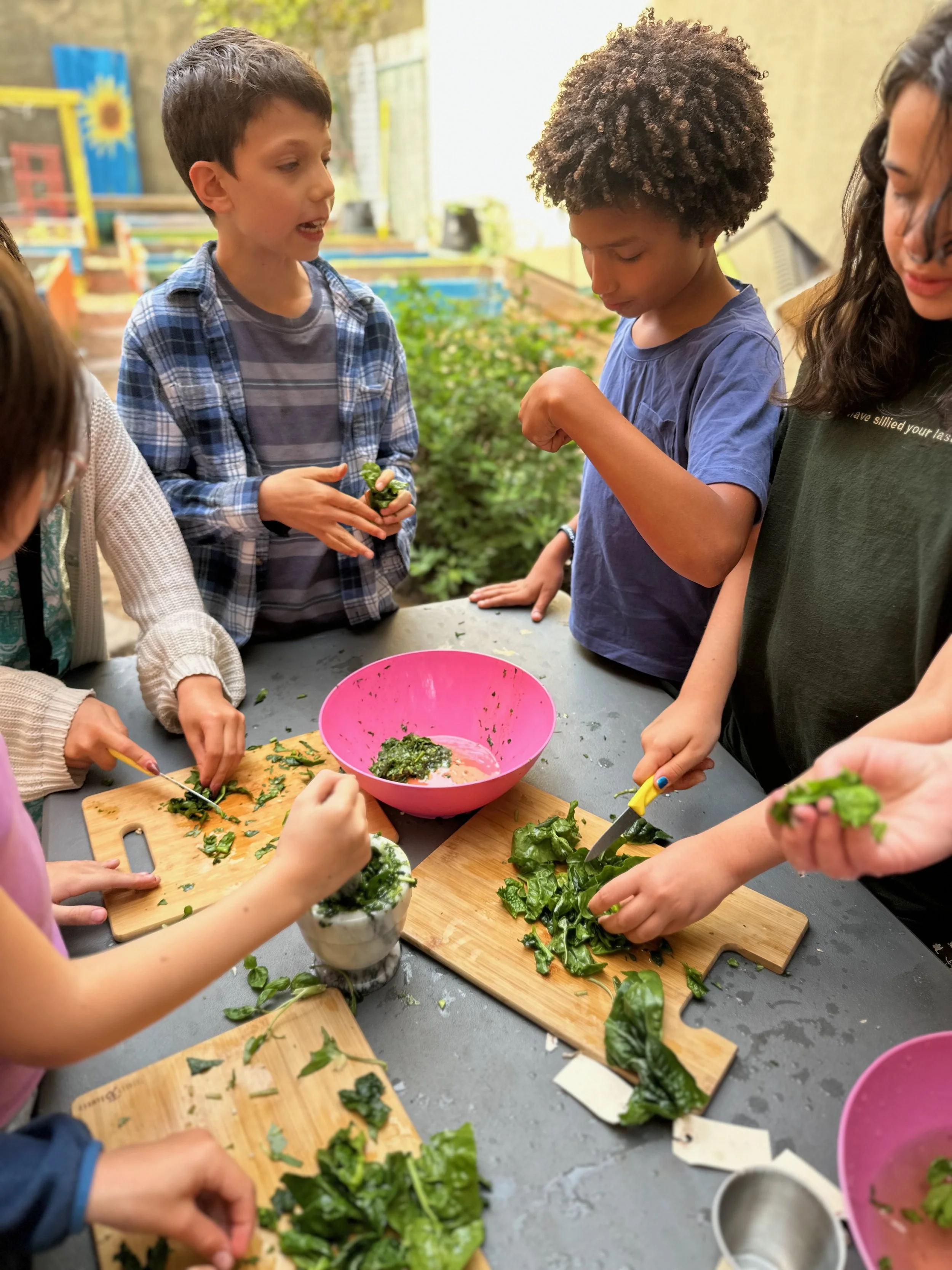Kids gathered around a table chopping and preparing fresh greens in a garden or outdoor classroom setting.