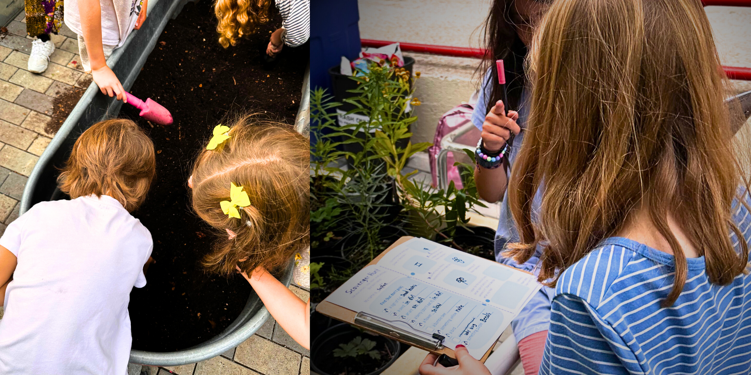 Untitled design (10).png