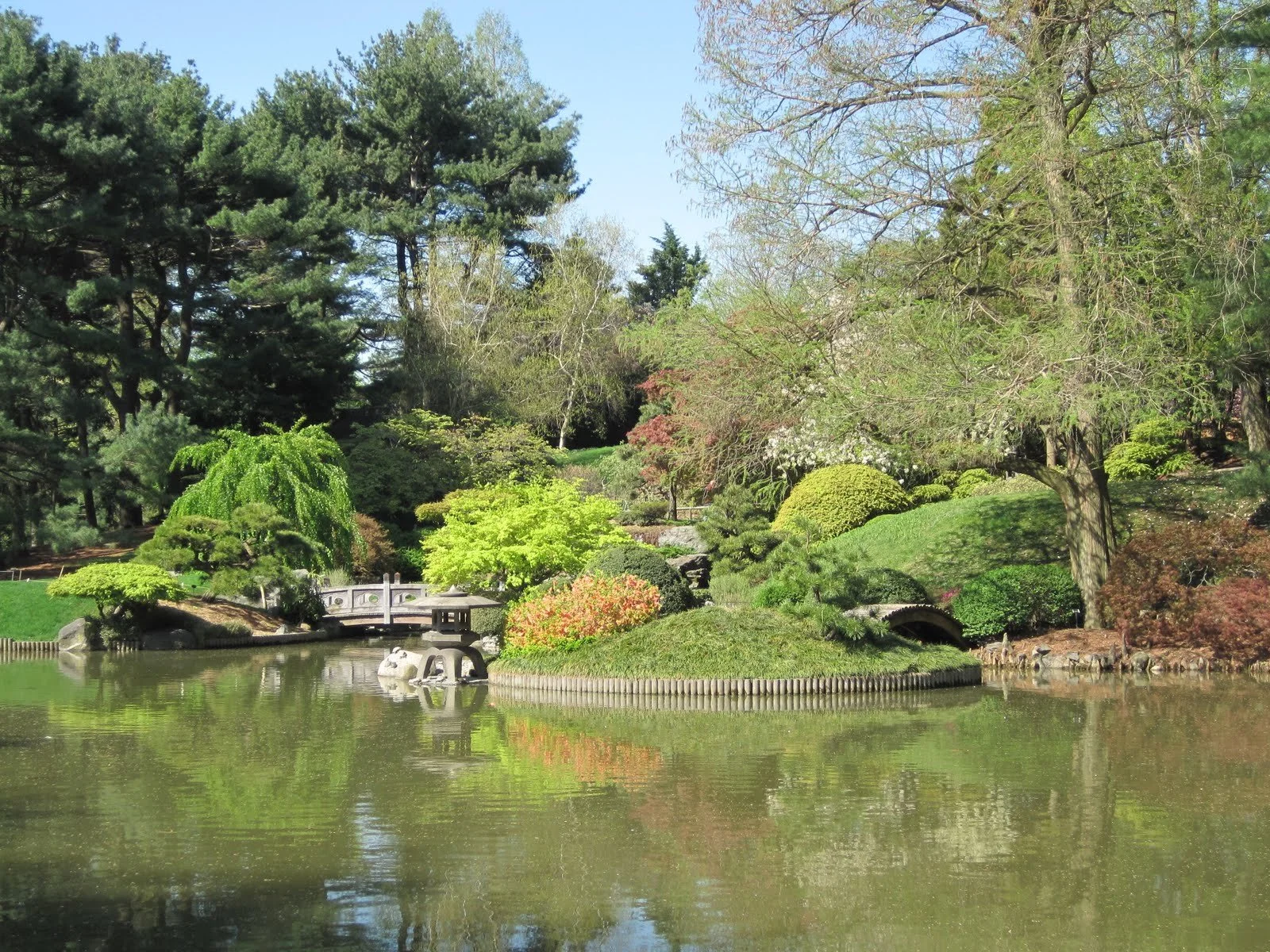 brooklyn botanic garden planting 007.jpg