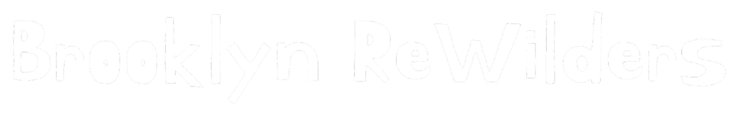 Brooklyn Rewilders