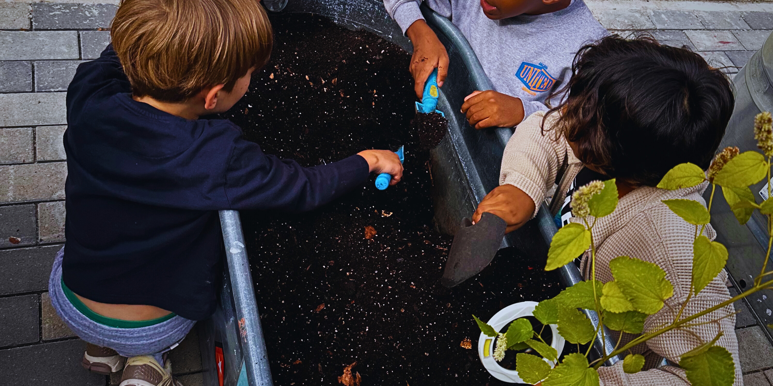 Untitled design (11).png