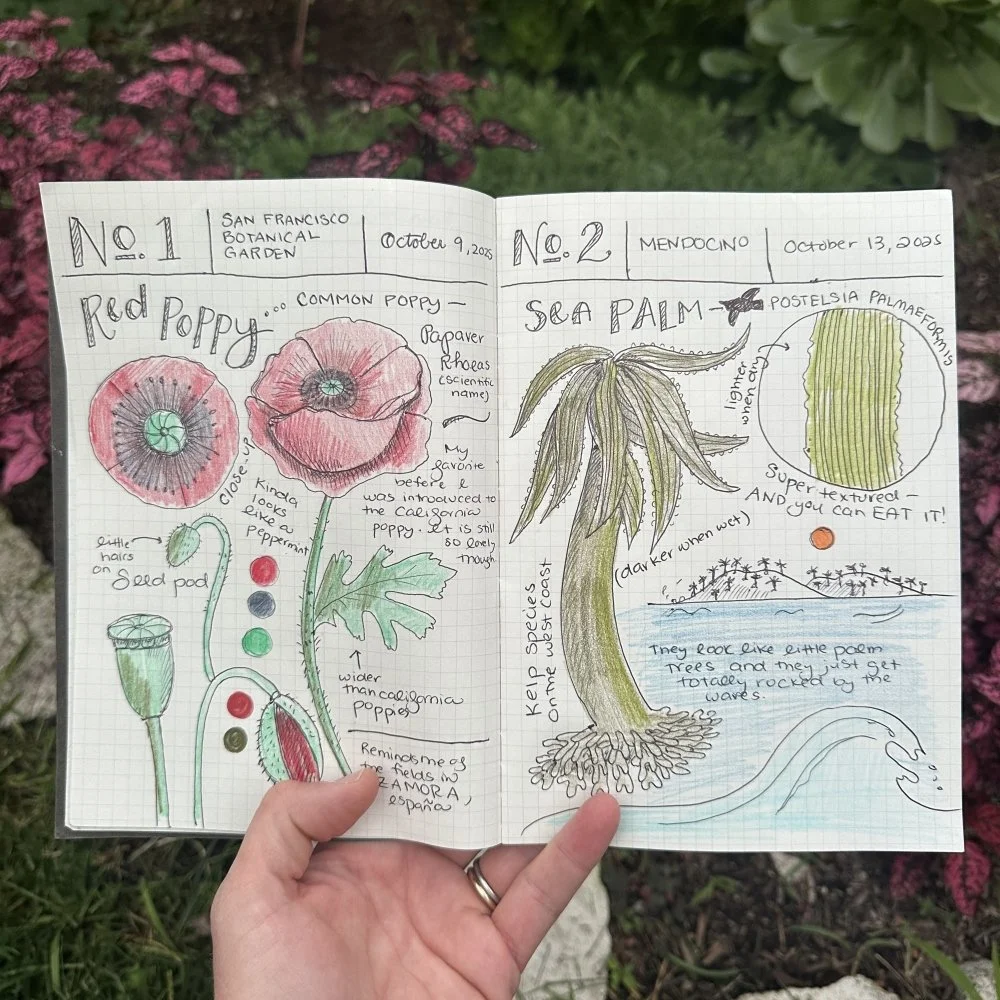 field guide.jpg