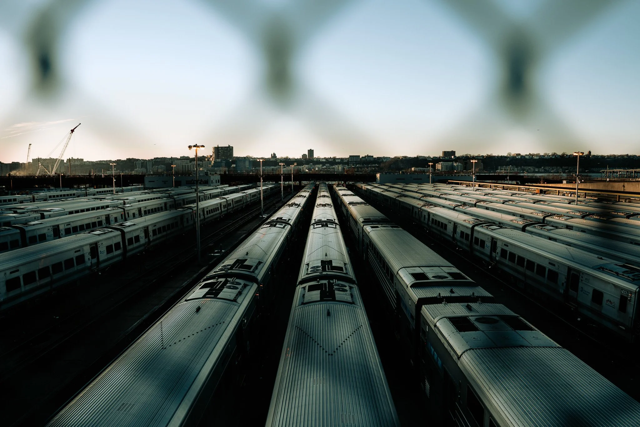 Sony A7 III - 20241217_07125.jpg