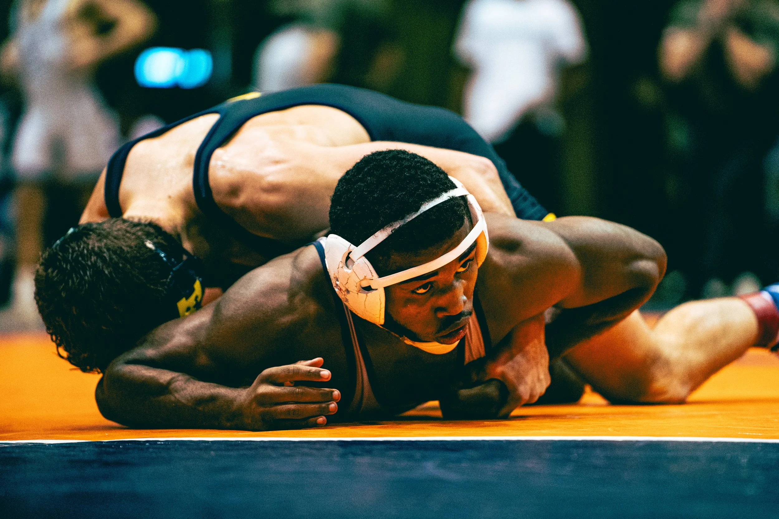 Sony A7 III - 20241124_05928.jpg