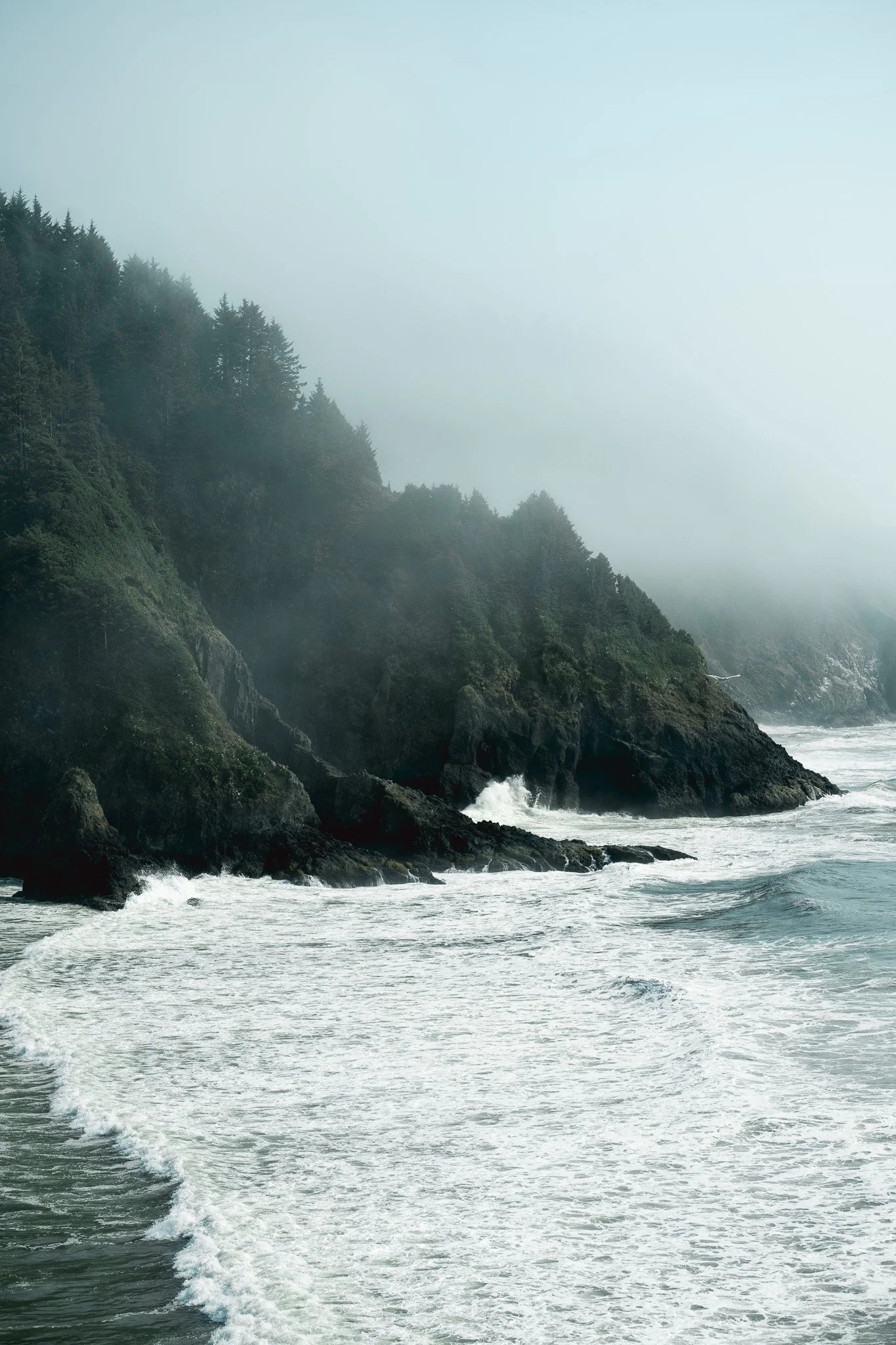 Sony A7R IV - 20250812_05848.jpg