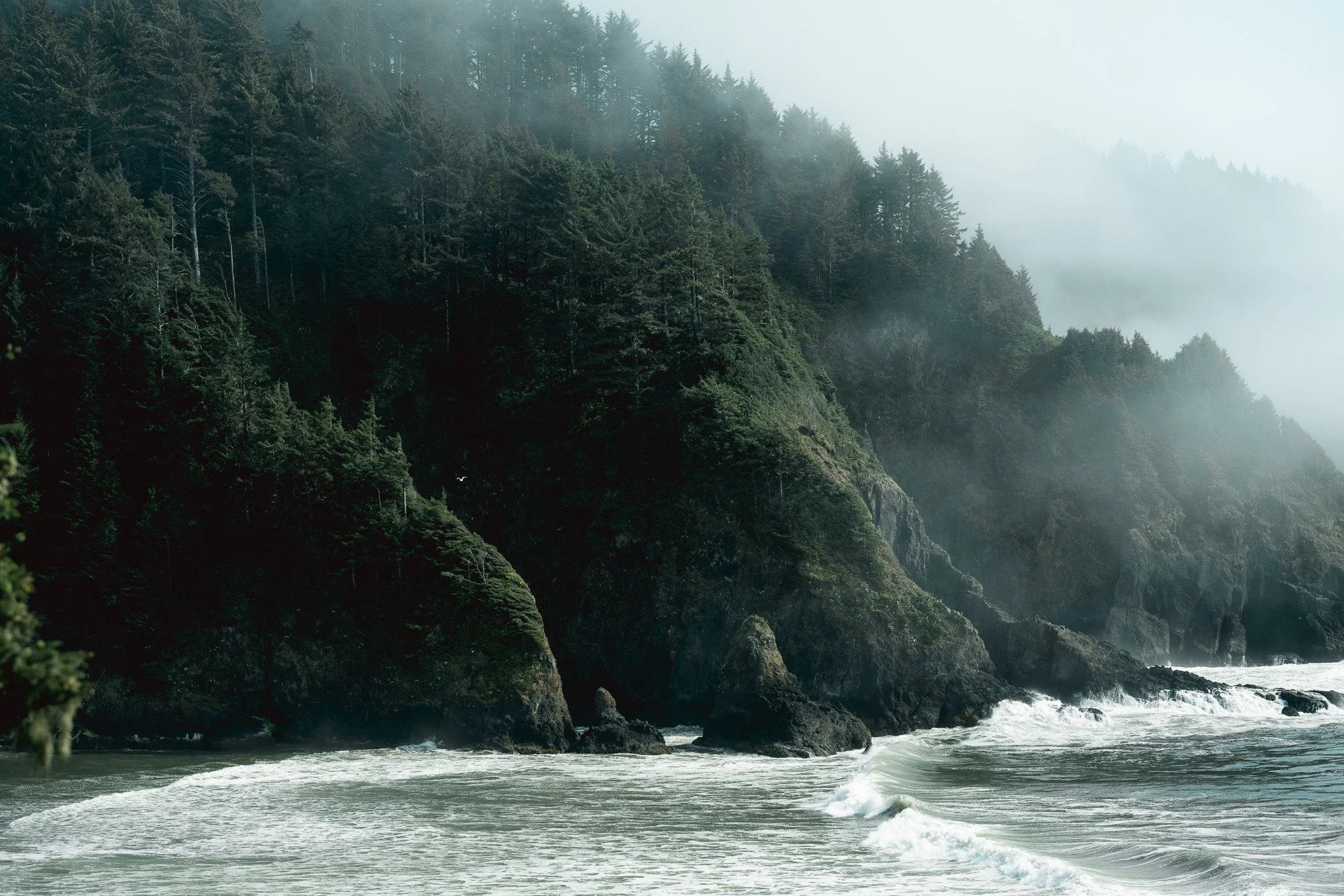 Sony A7R IV - 20250812_05844.jpg