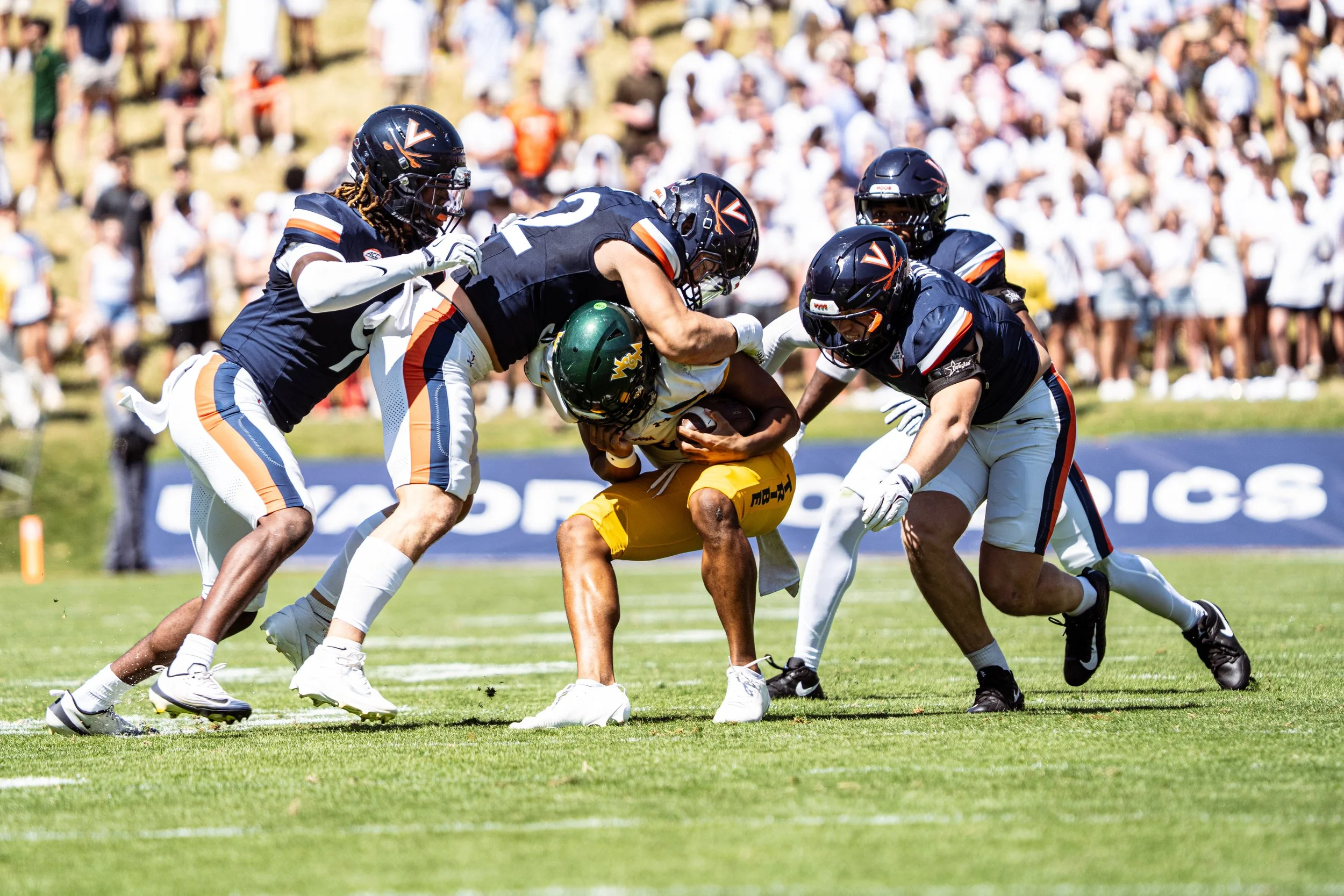 Sony Alpha 7 III - 20250913_03180.jpg