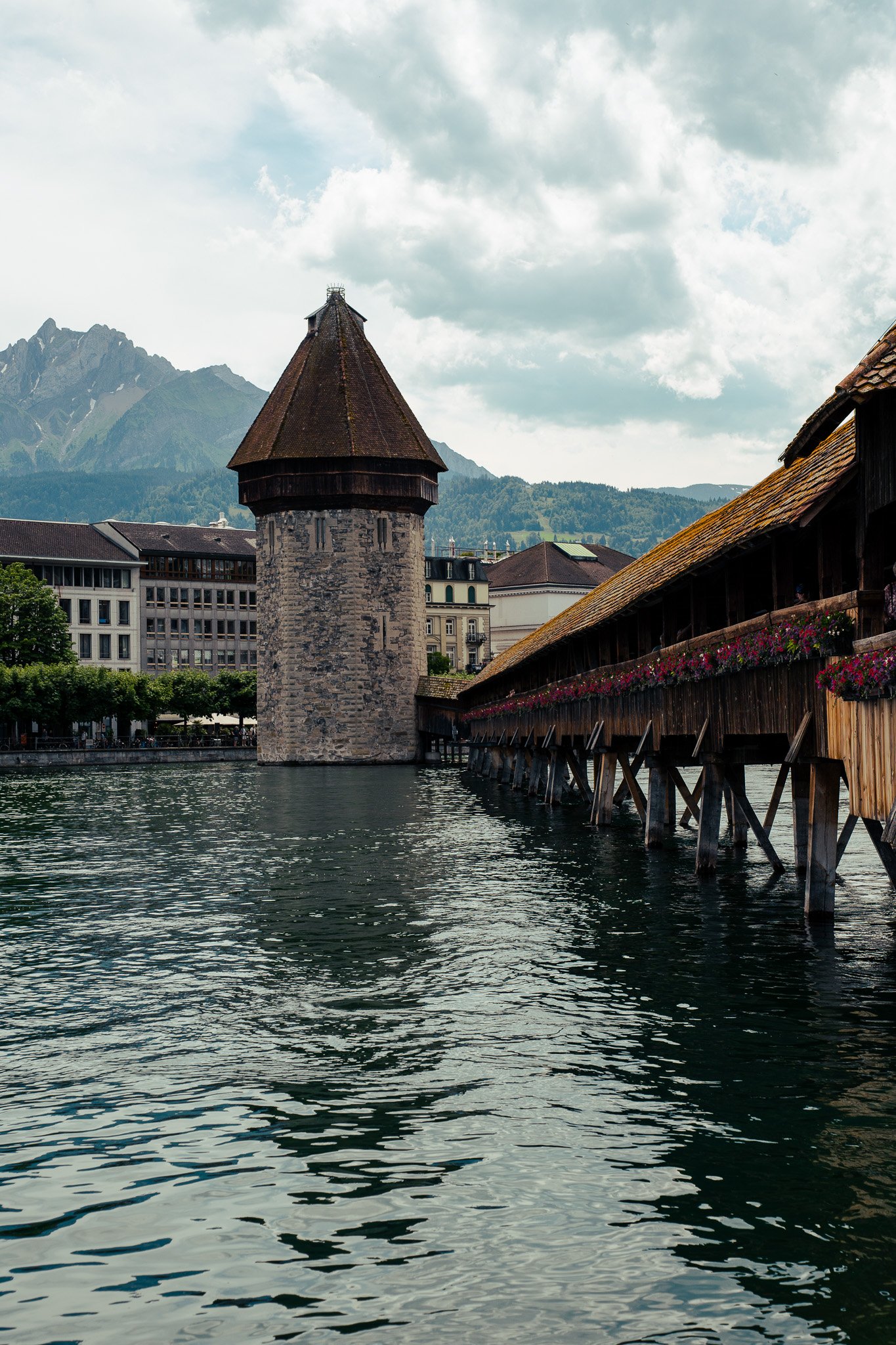 Sony A7 III - 20240618_02166.jpg