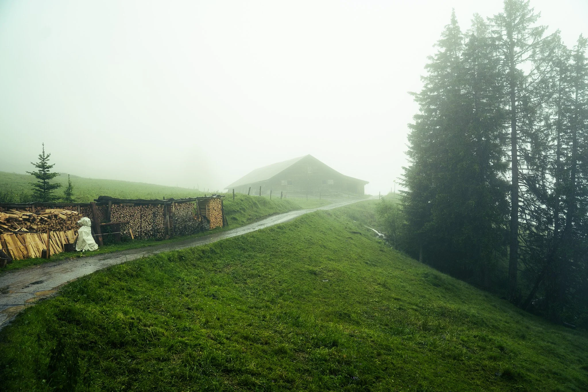 Sony A7 III - 20240621_02986.jpg