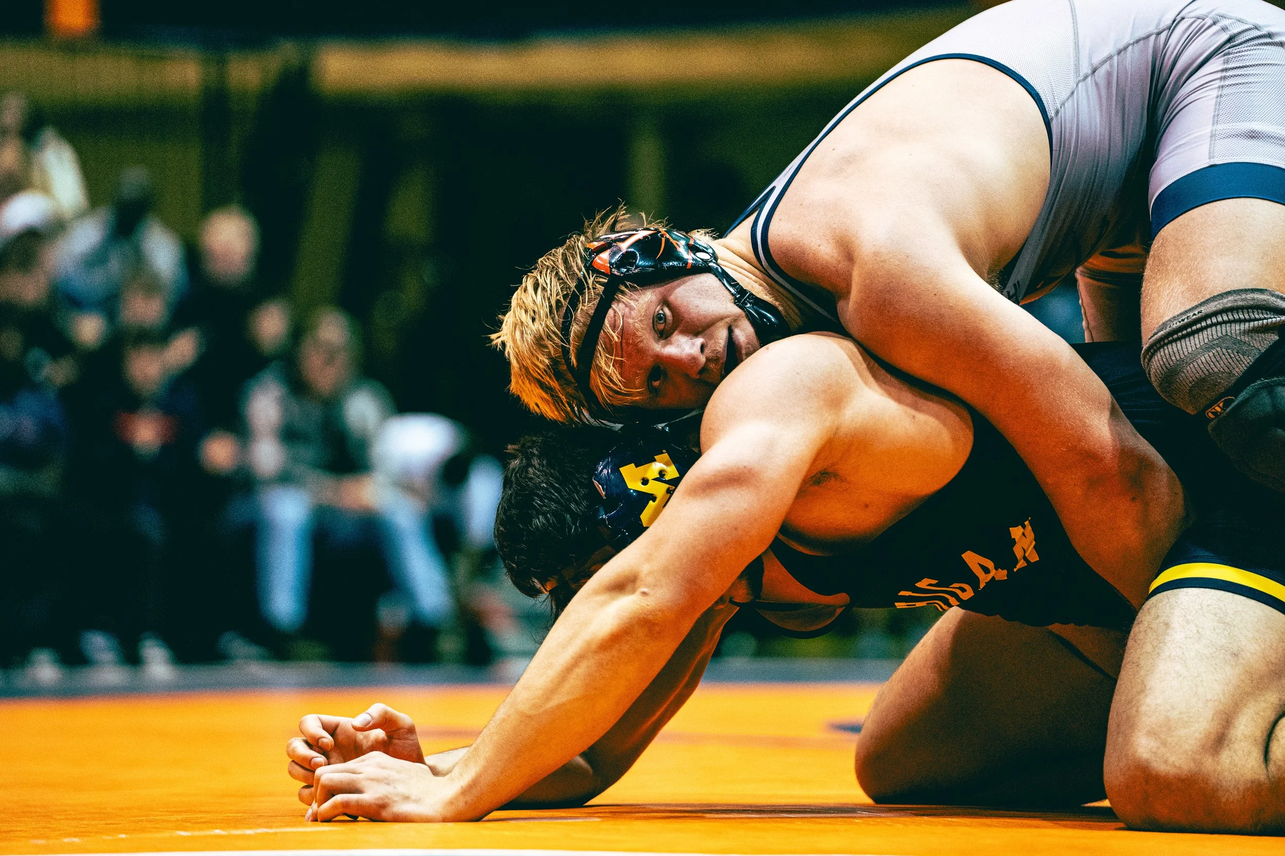 Sony A7 III - 20241124_05734.jpg