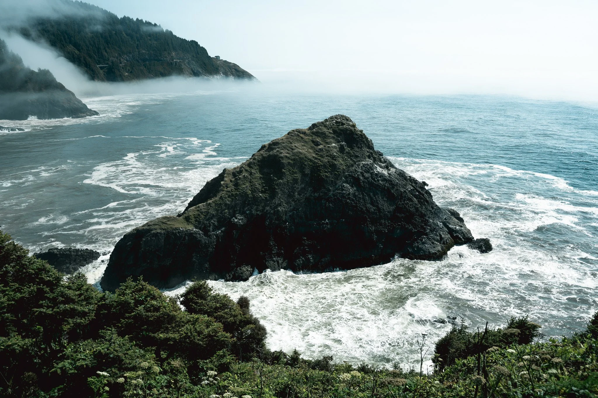 Sony A7R IV - 20250812_05701.jpg