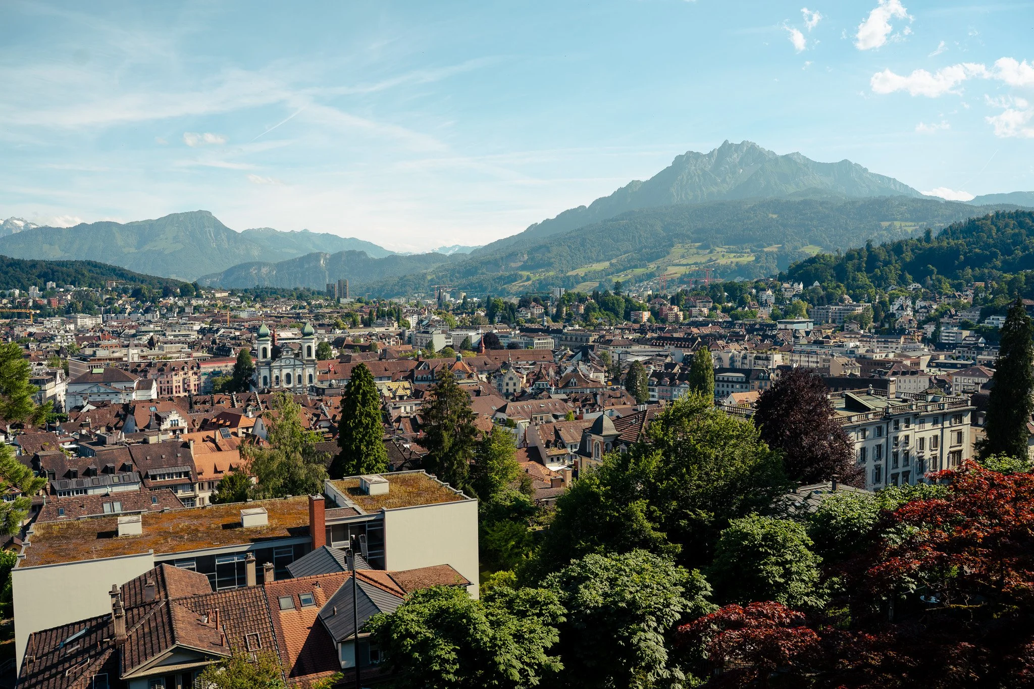 Sony A7 III - 20240618_02208.jpg