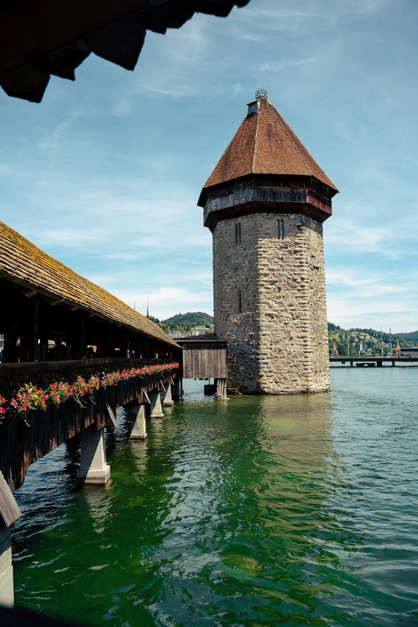 Sony A7 III - 20240618_02130.jpg