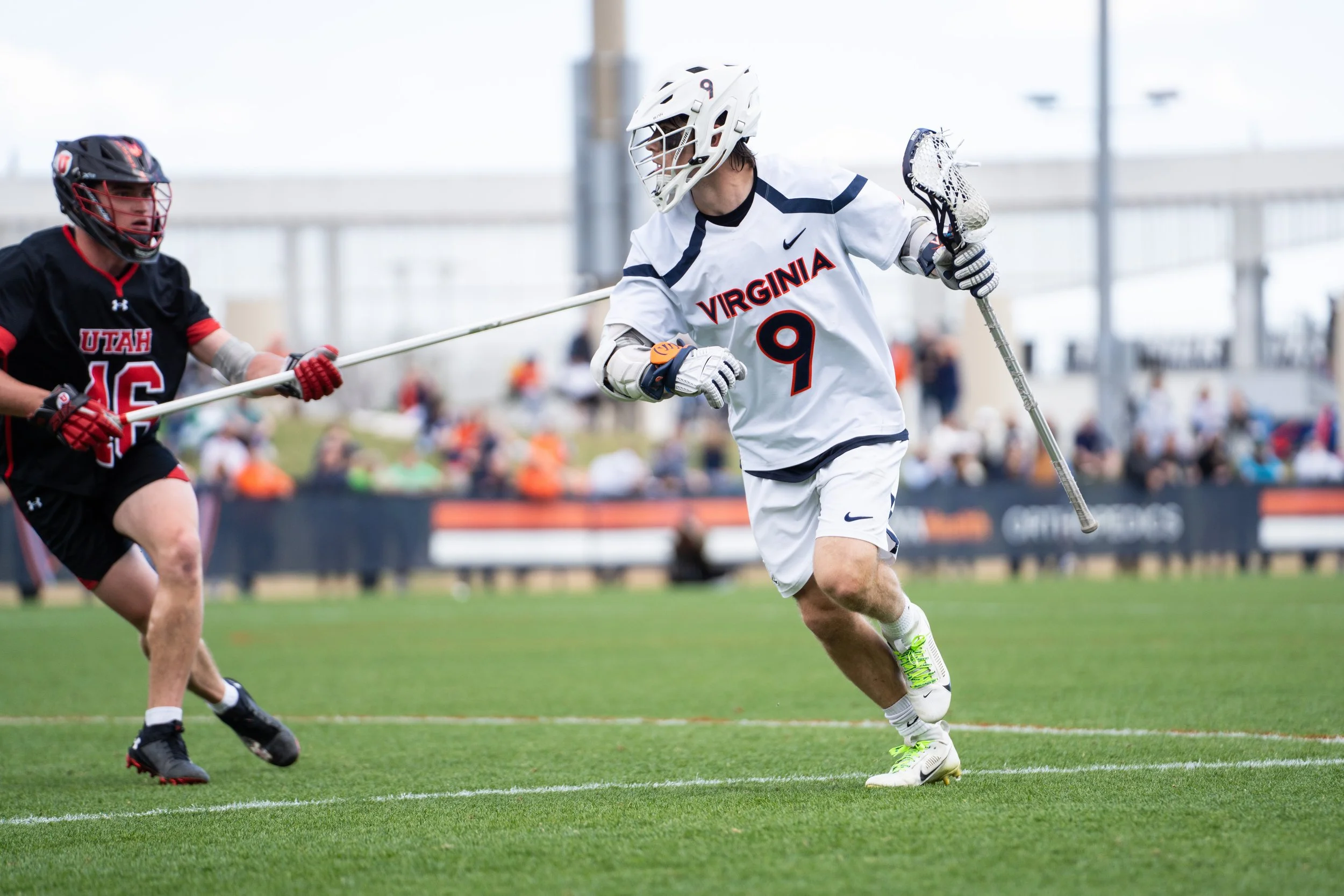 Sony A7R IV - 20250322_00866.jpg