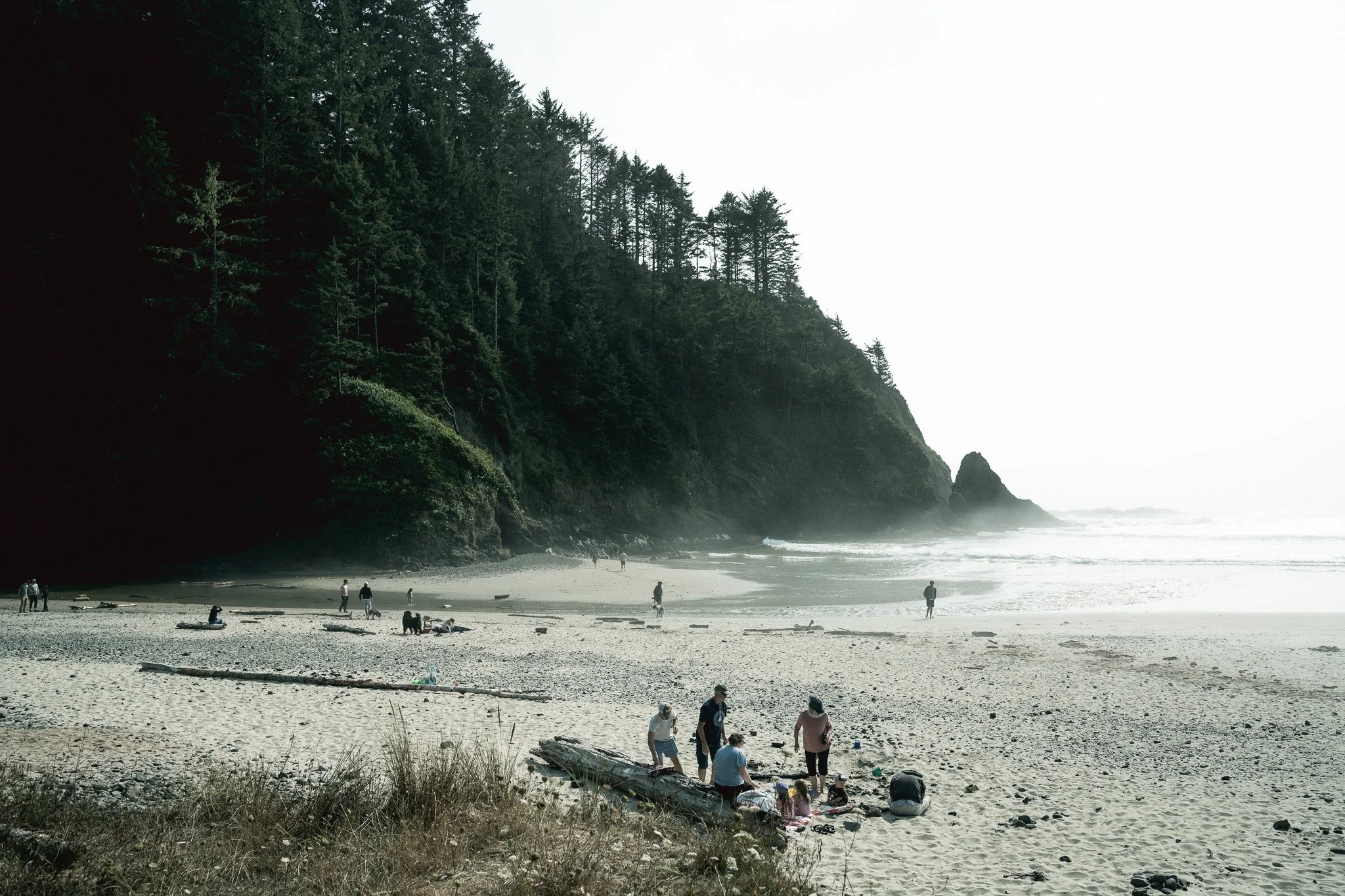 Sony A7R IV - 20250812_05896.jpg