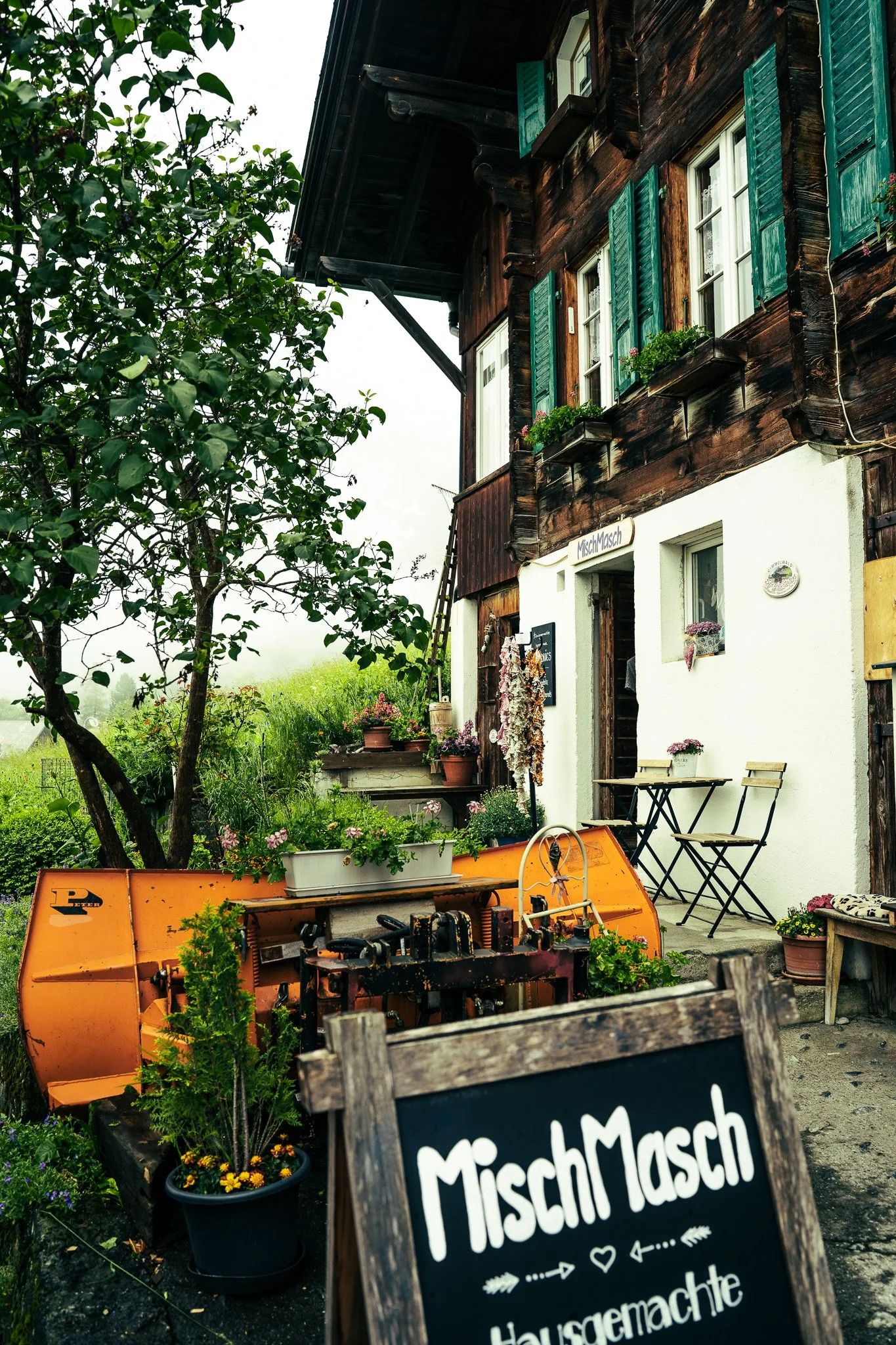 Sony A7 III - 20240621_03335.jpg