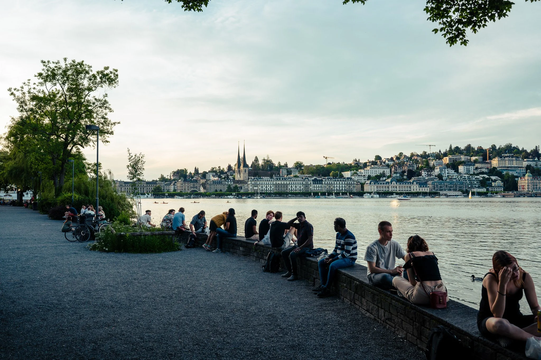 Sony A7 III - 20240618_02278.jpg