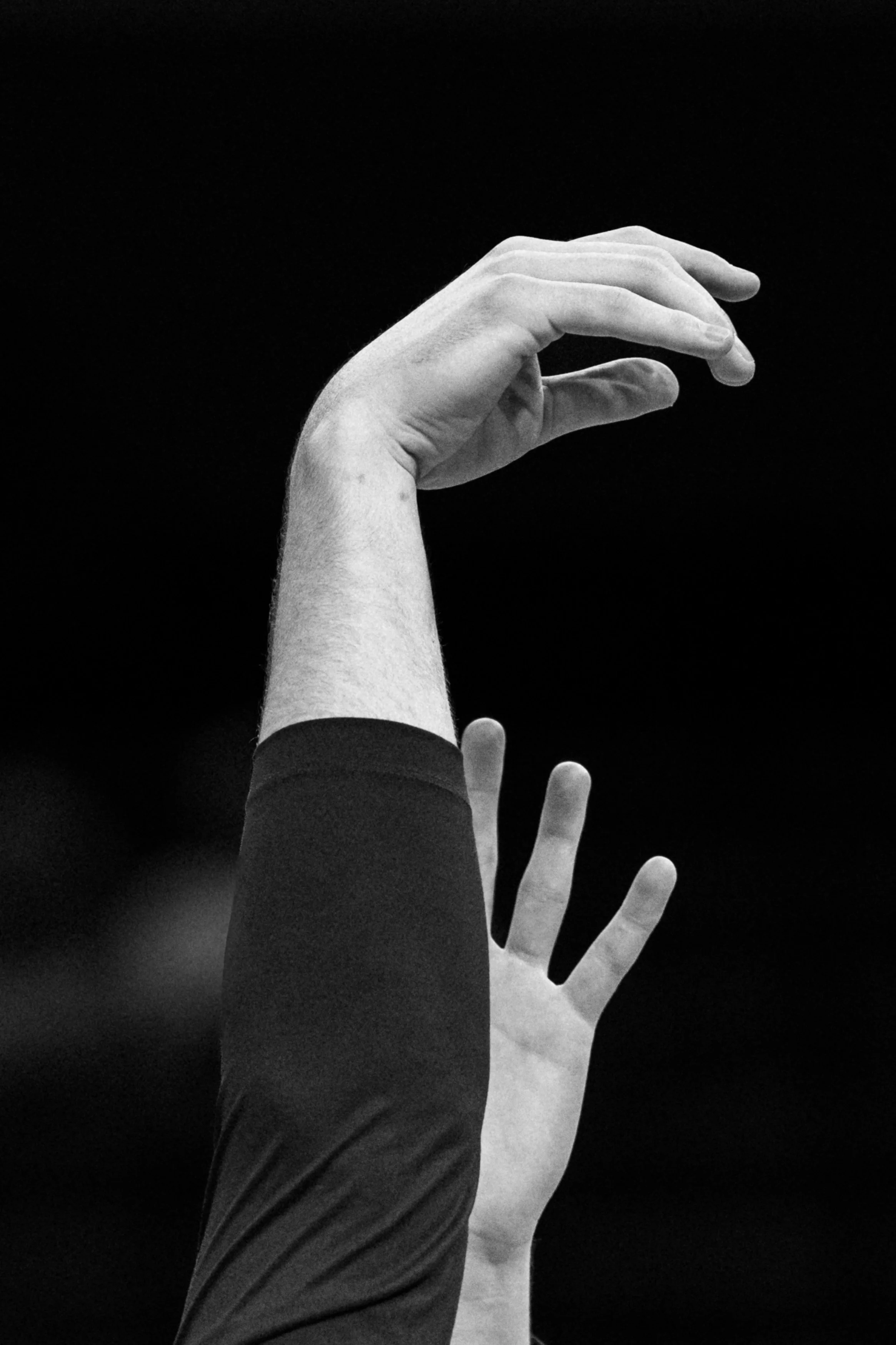 Sony A7R IV - 20251111_05811.jpg