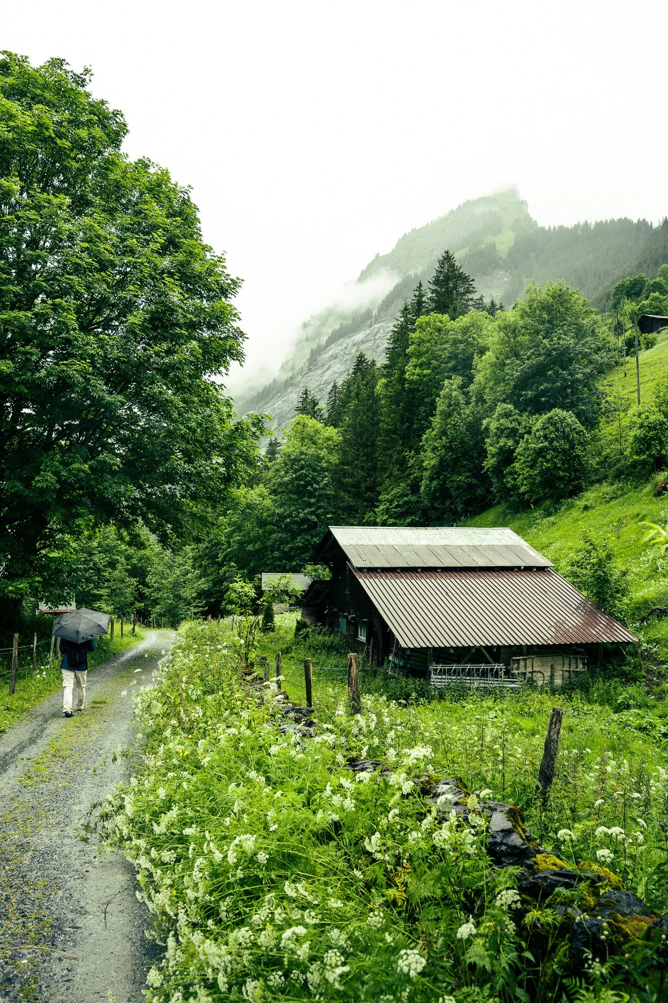 Sony A7 III - 20240621_03396.jpg