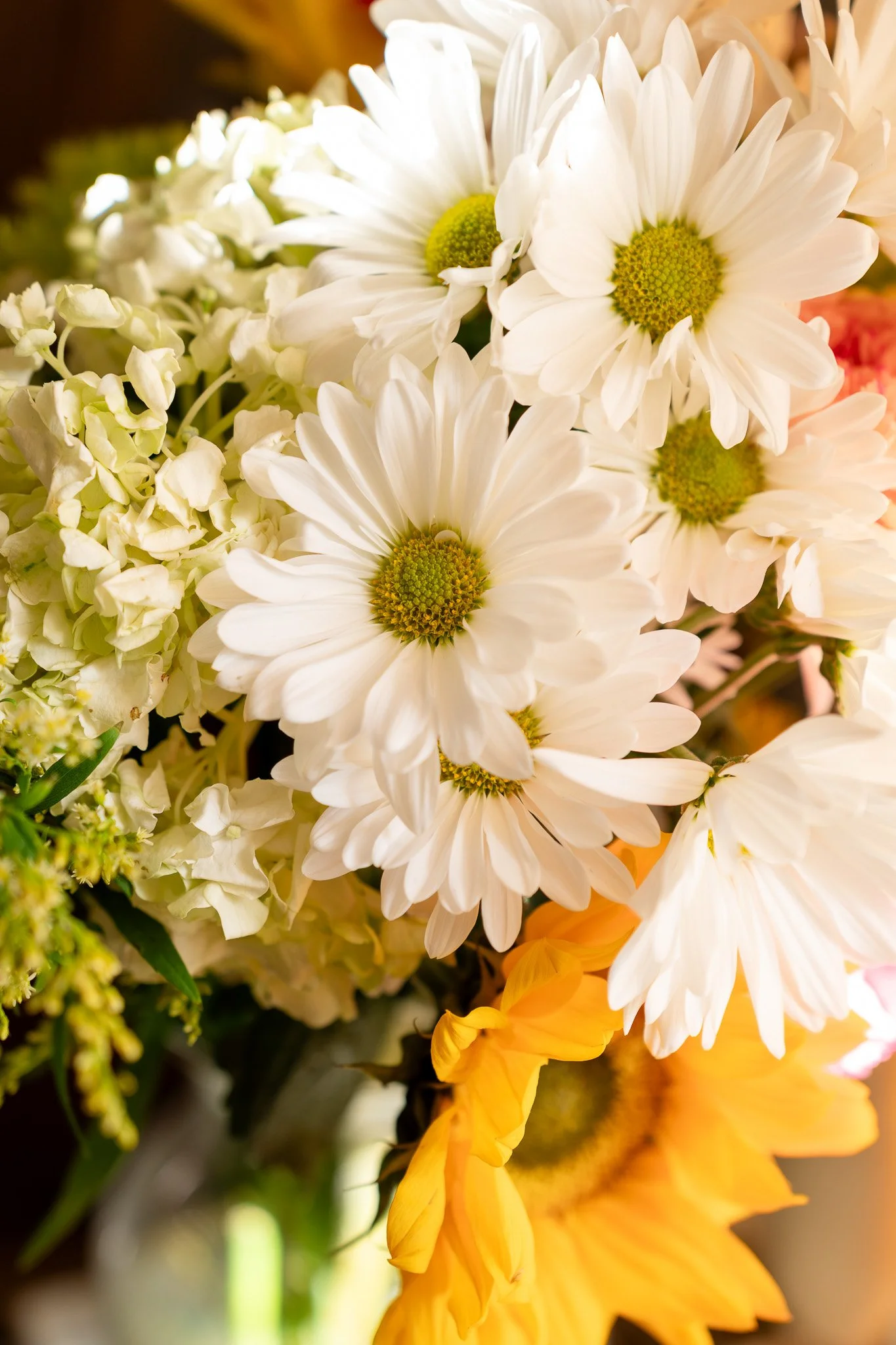 Sony A7R IV - 20250517_00603.jpg