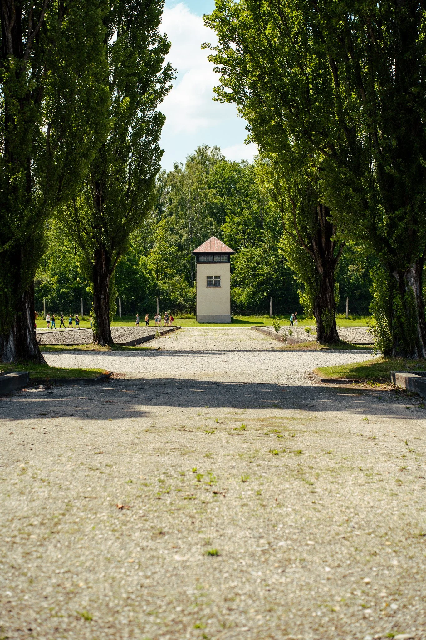 Sony A7 III - 20240624_03666.jpg