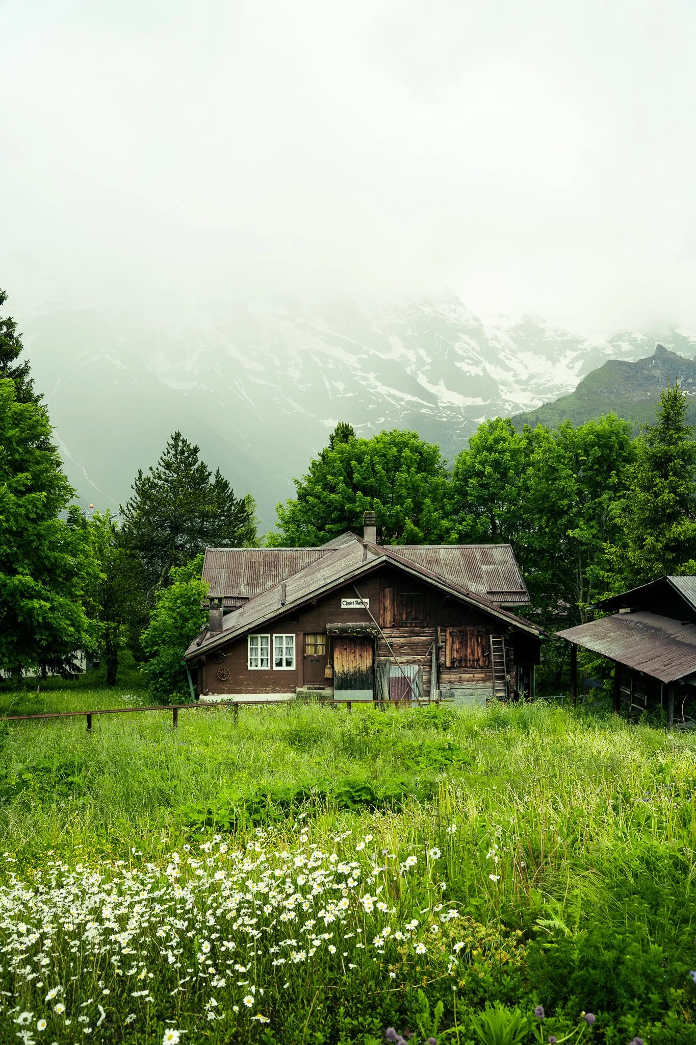 Sony A7 III - 20240621_03219.jpg