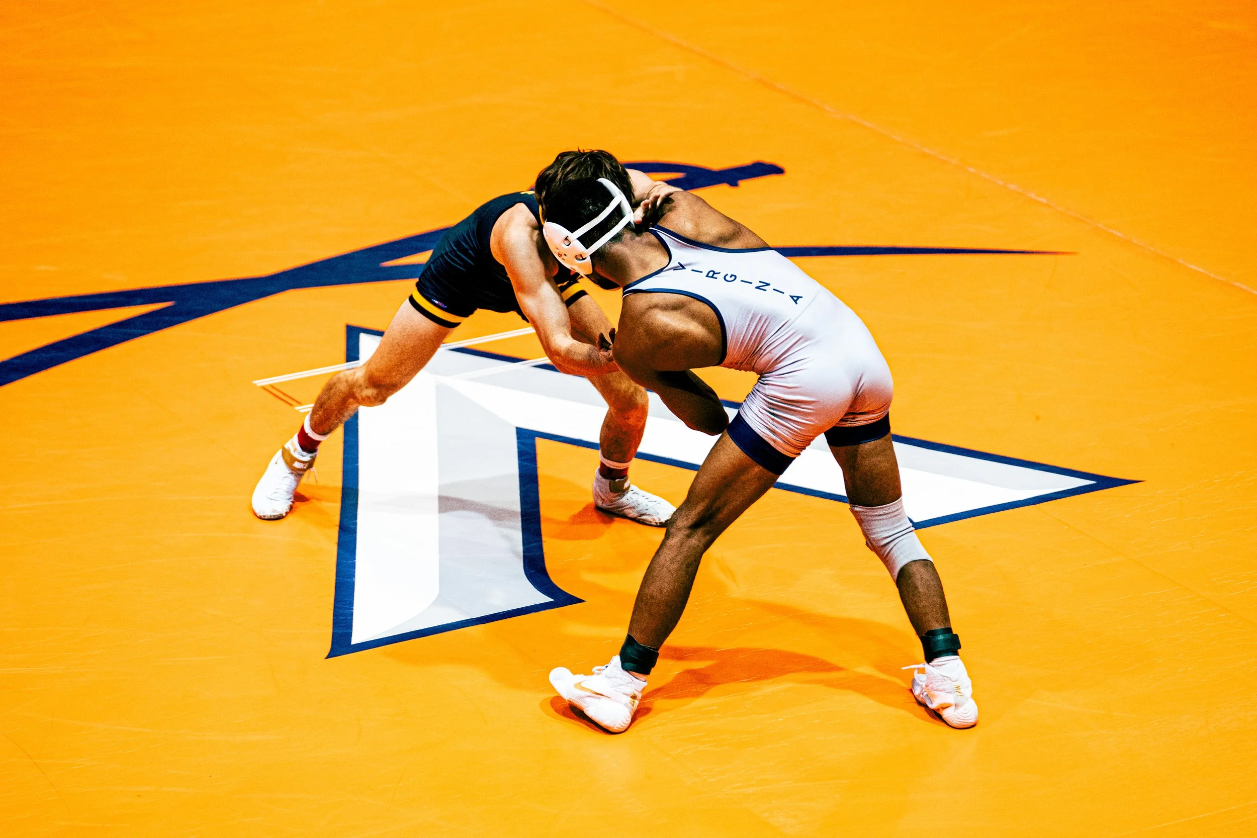 Sony A7 III - 20241124_05831.jpg