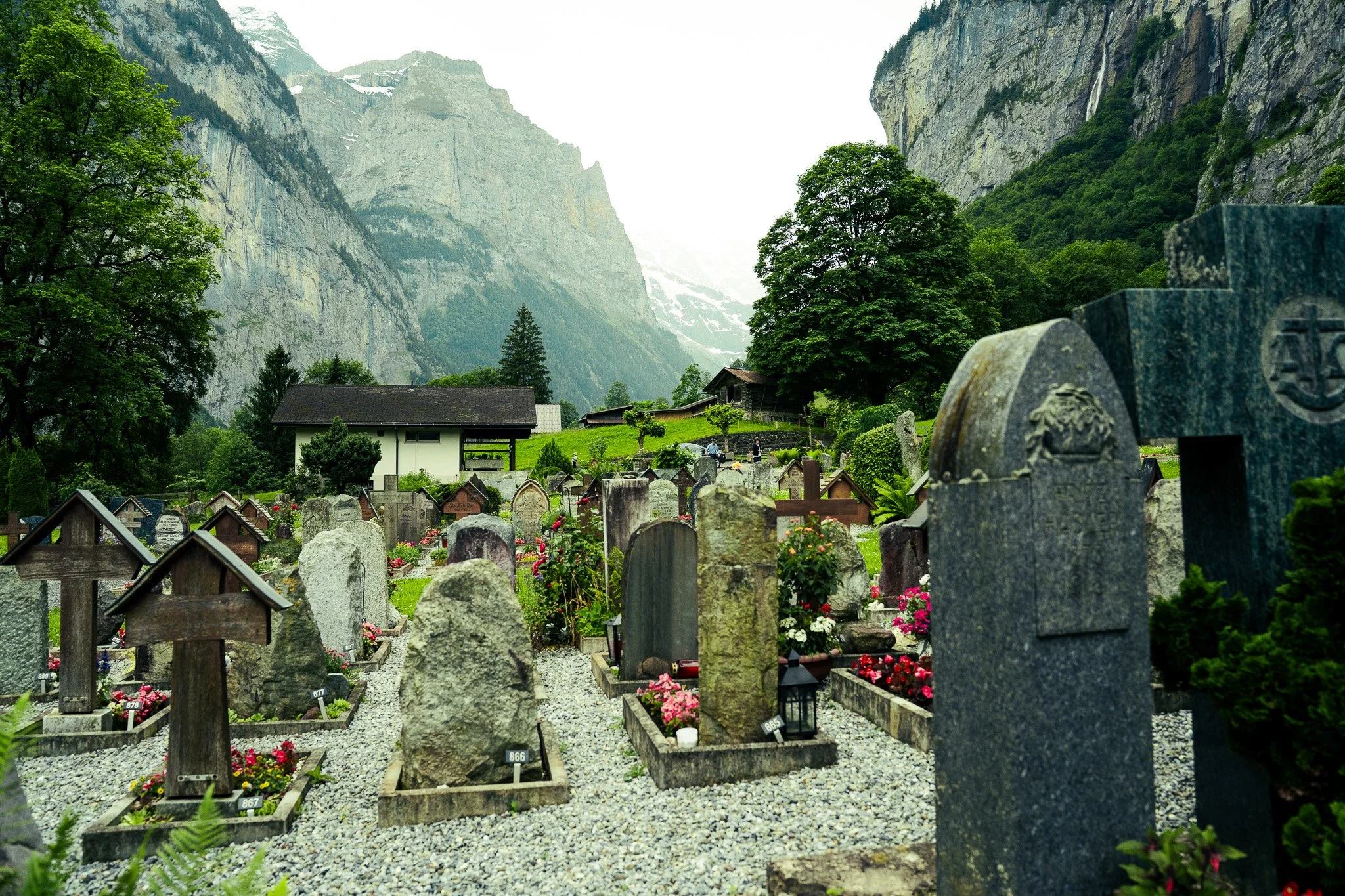 Sony A7 III - 20240620_02792.jpg