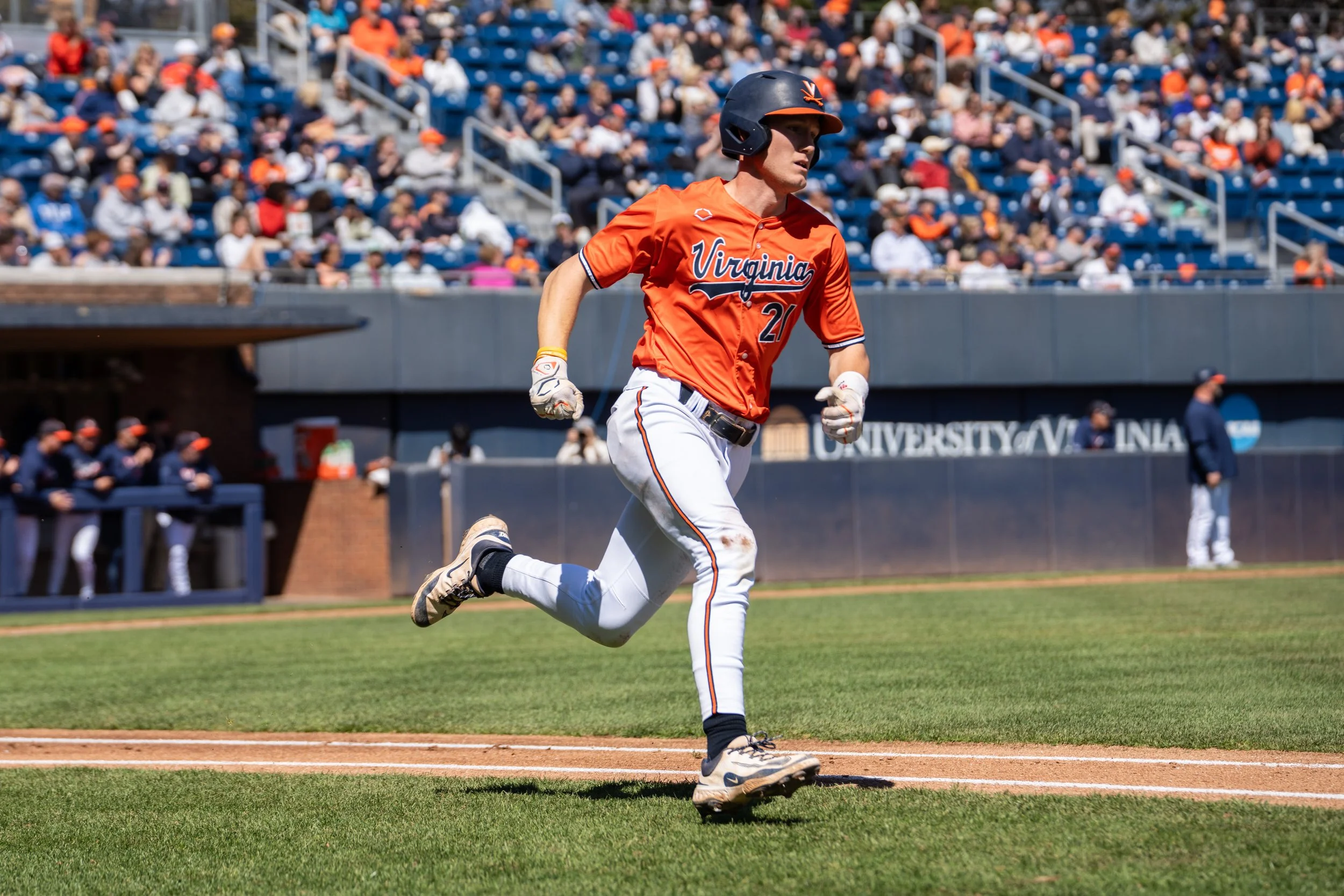 Sony A7R IV - 20250323_01410.jpg