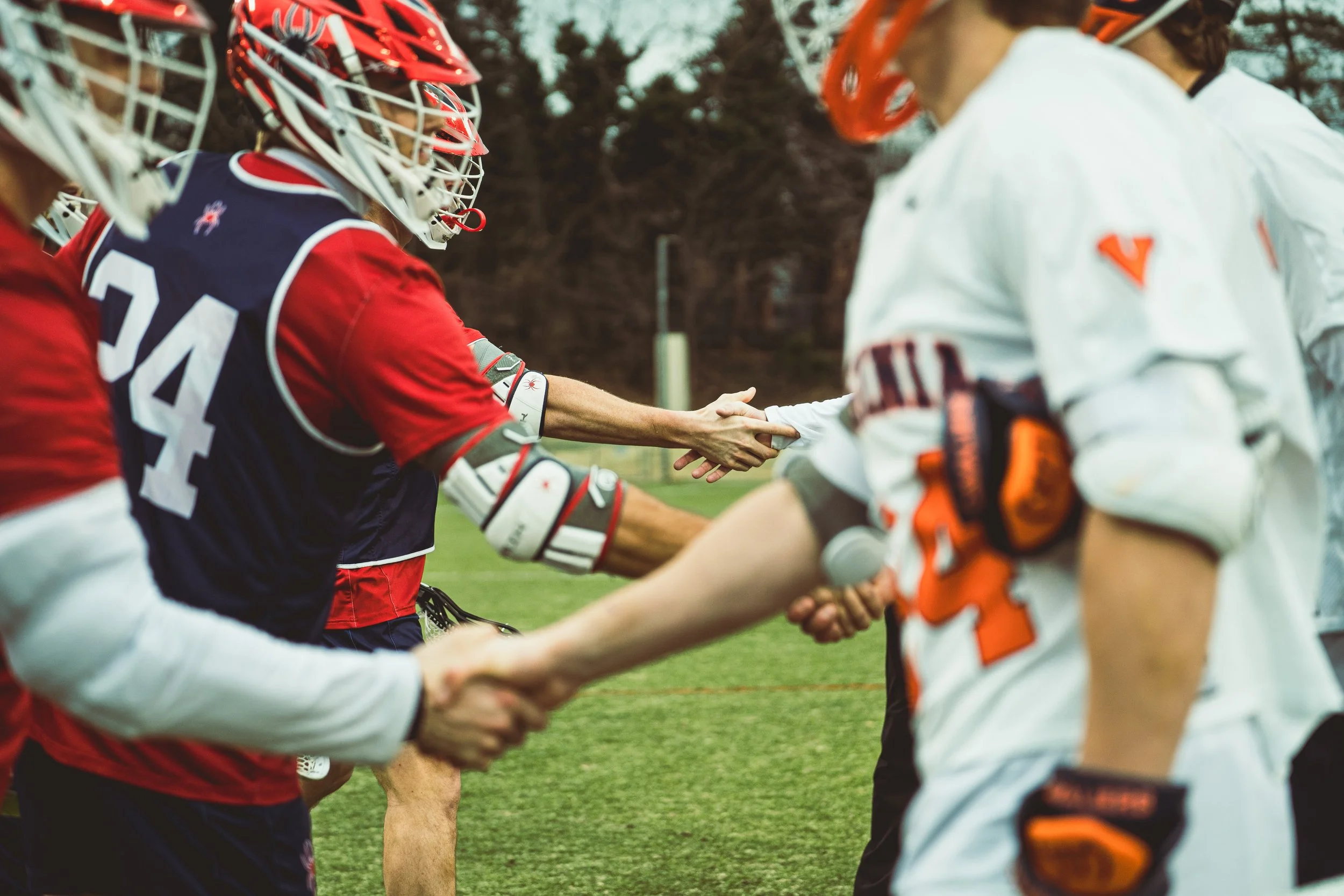 Sony A7 III - 20250215_09510.jpg