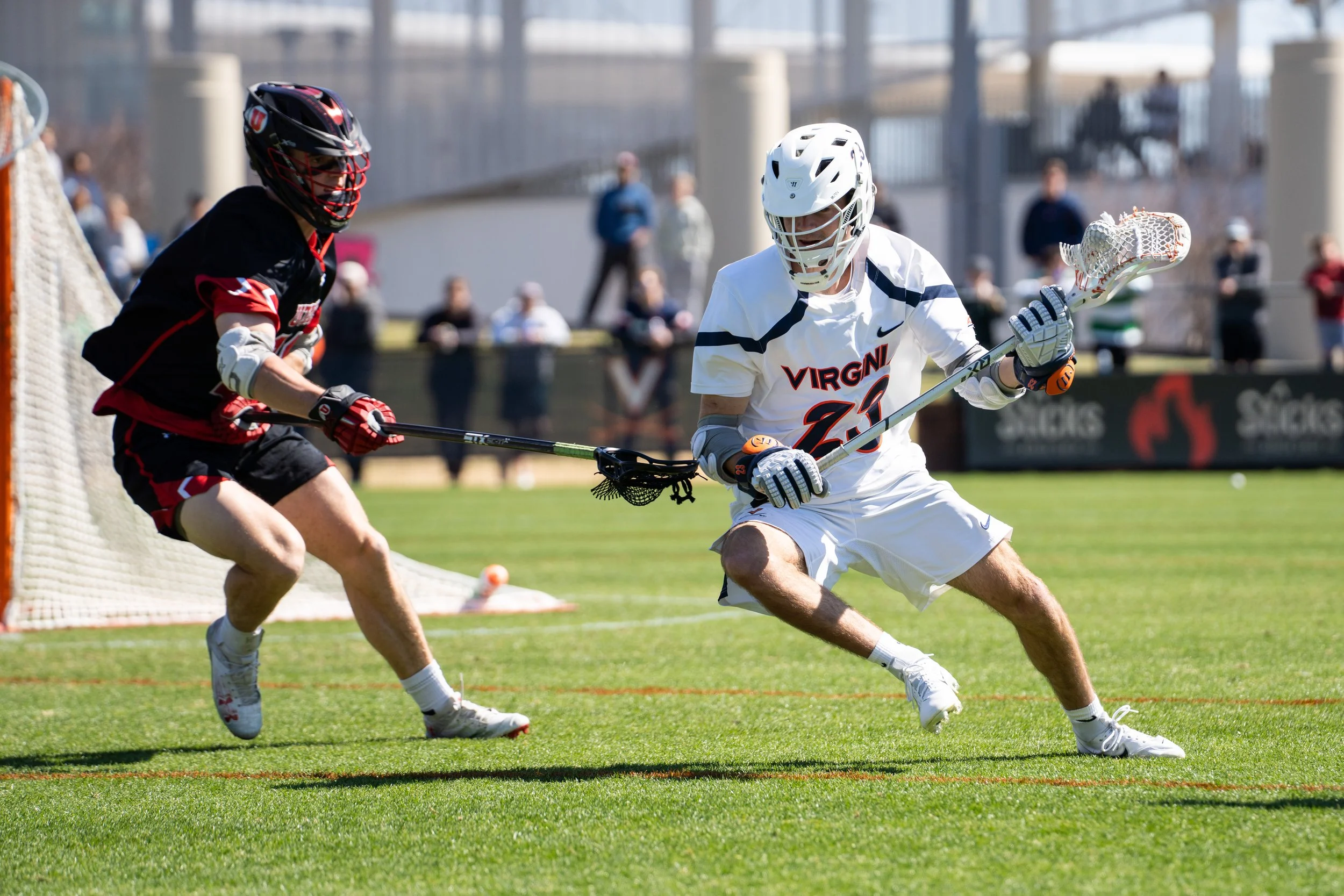 Sony A7R IV - 20250322_00737.jpg