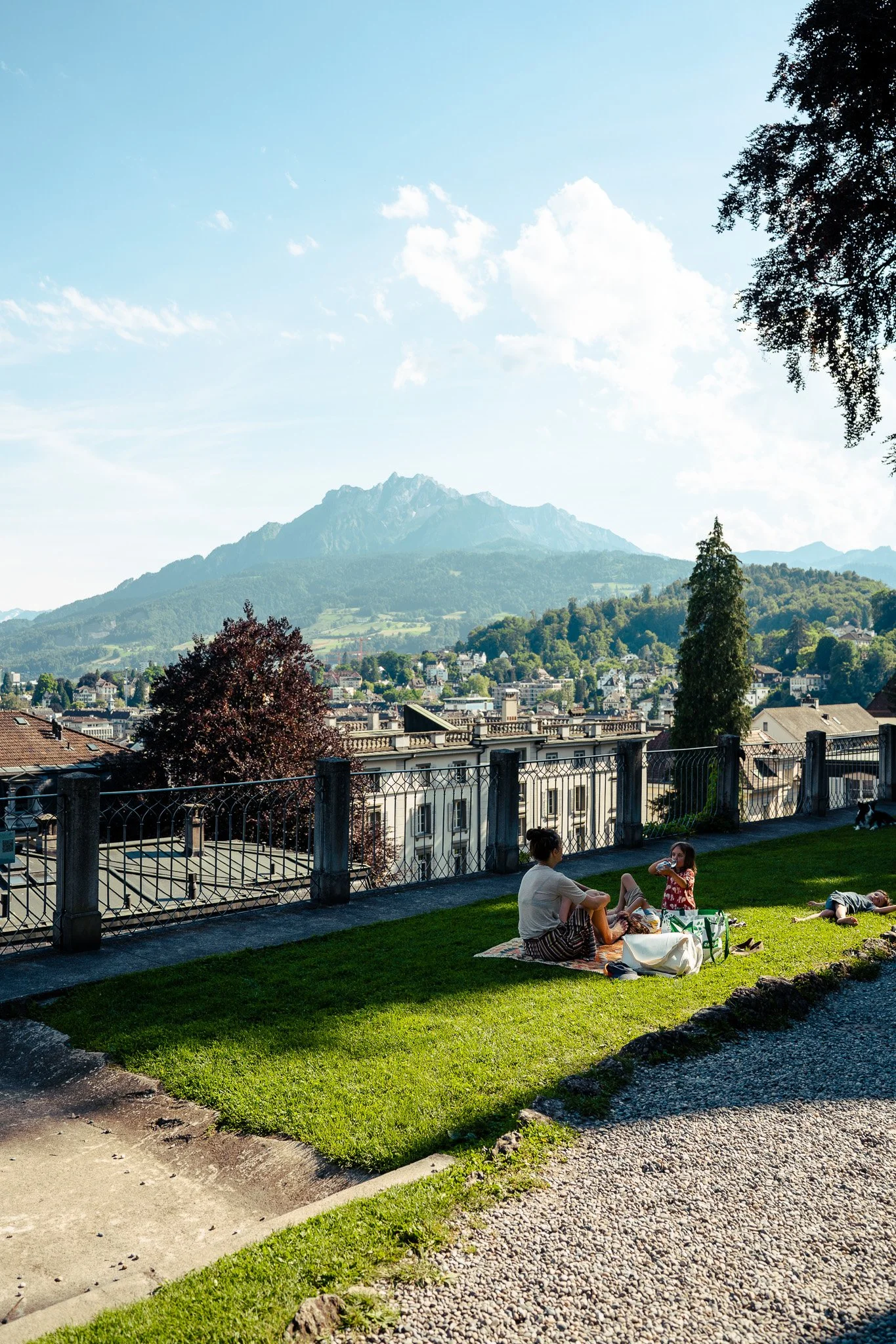 Sony A7 III - 20240618_02190.jpg