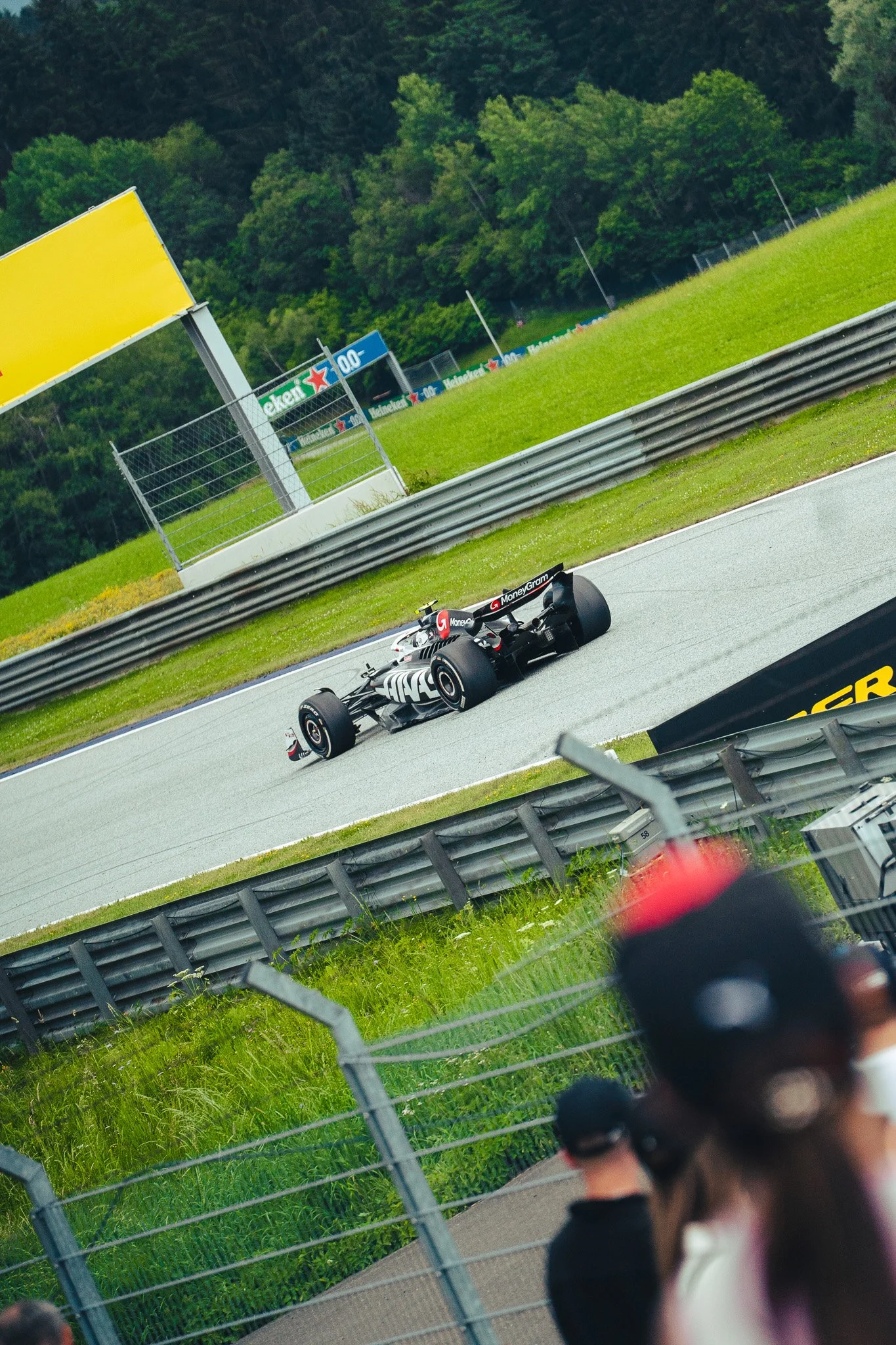 Sony A7 III - 20240630_04539.jpg