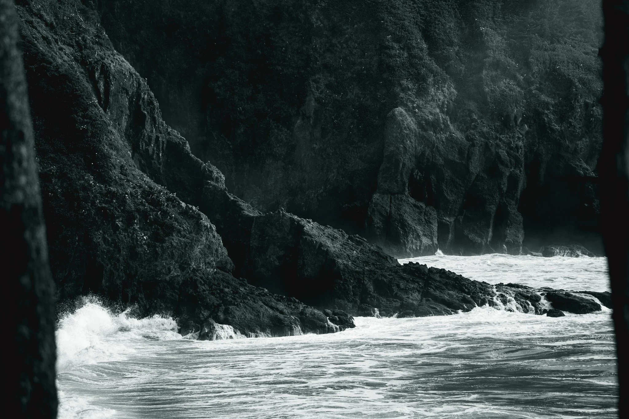 Sony A7R IV - 20250812_05841.jpg