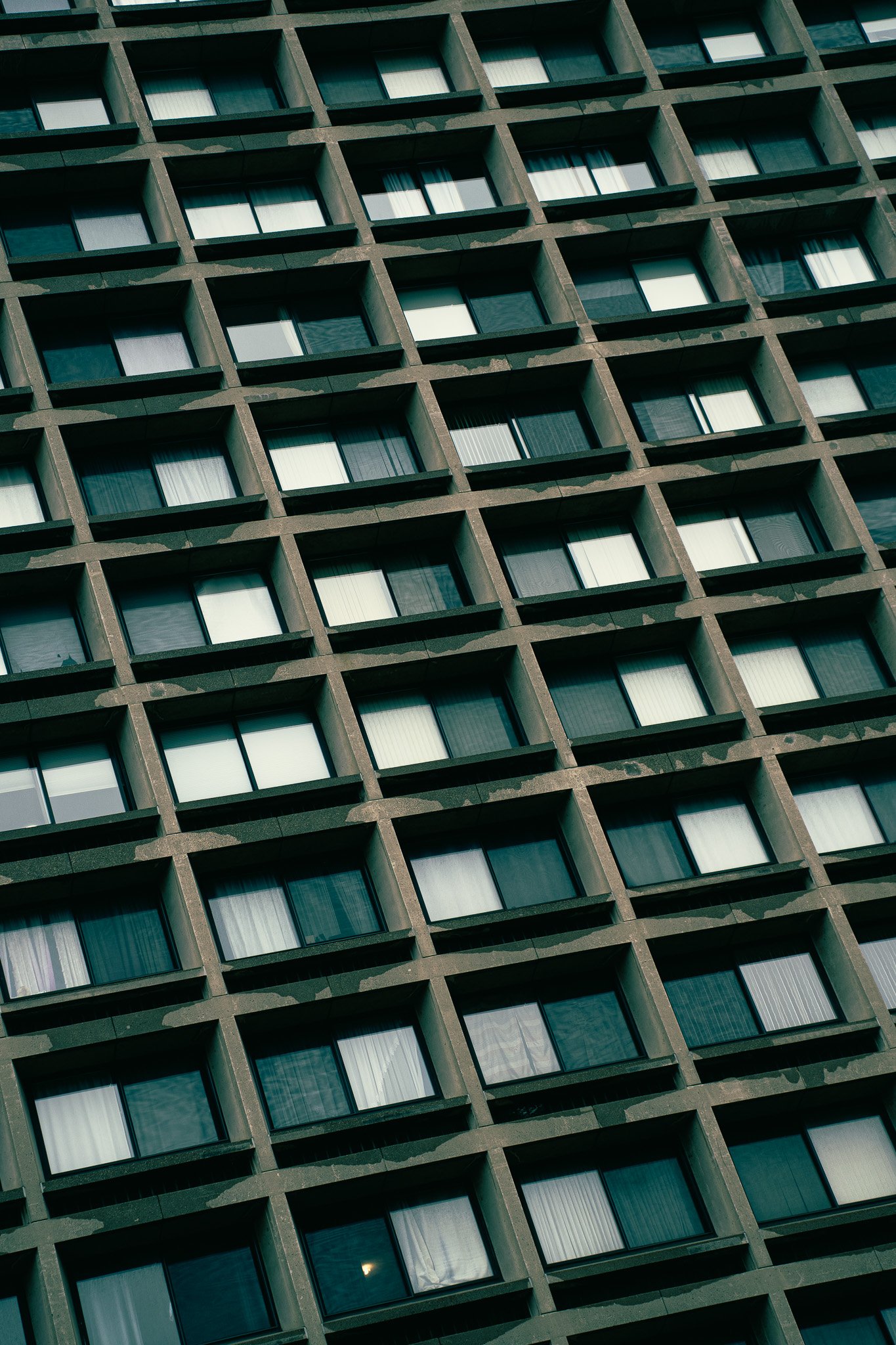 Sony A7 III - 20241216_05975.jpg