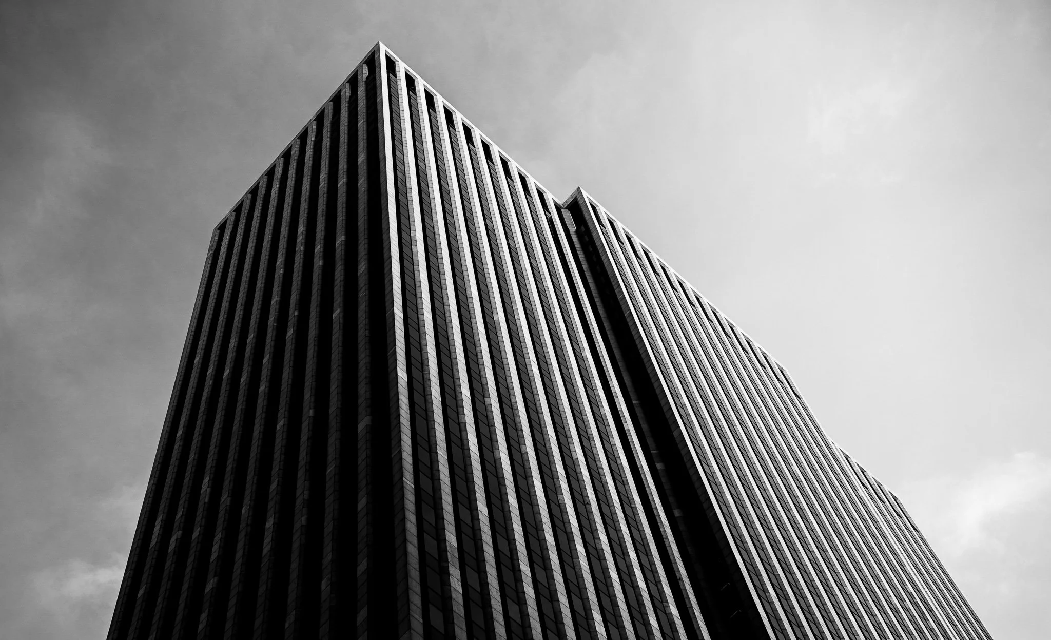 Sony A7 III - 20241217_06902.jpg