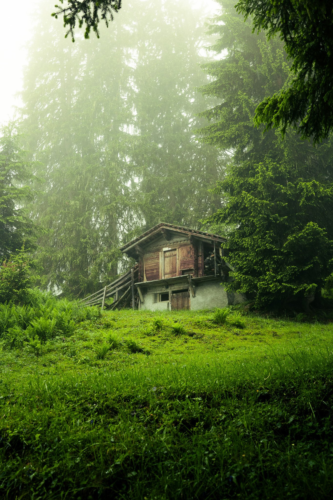 Sony A7 III - 20240621_02944.jpg