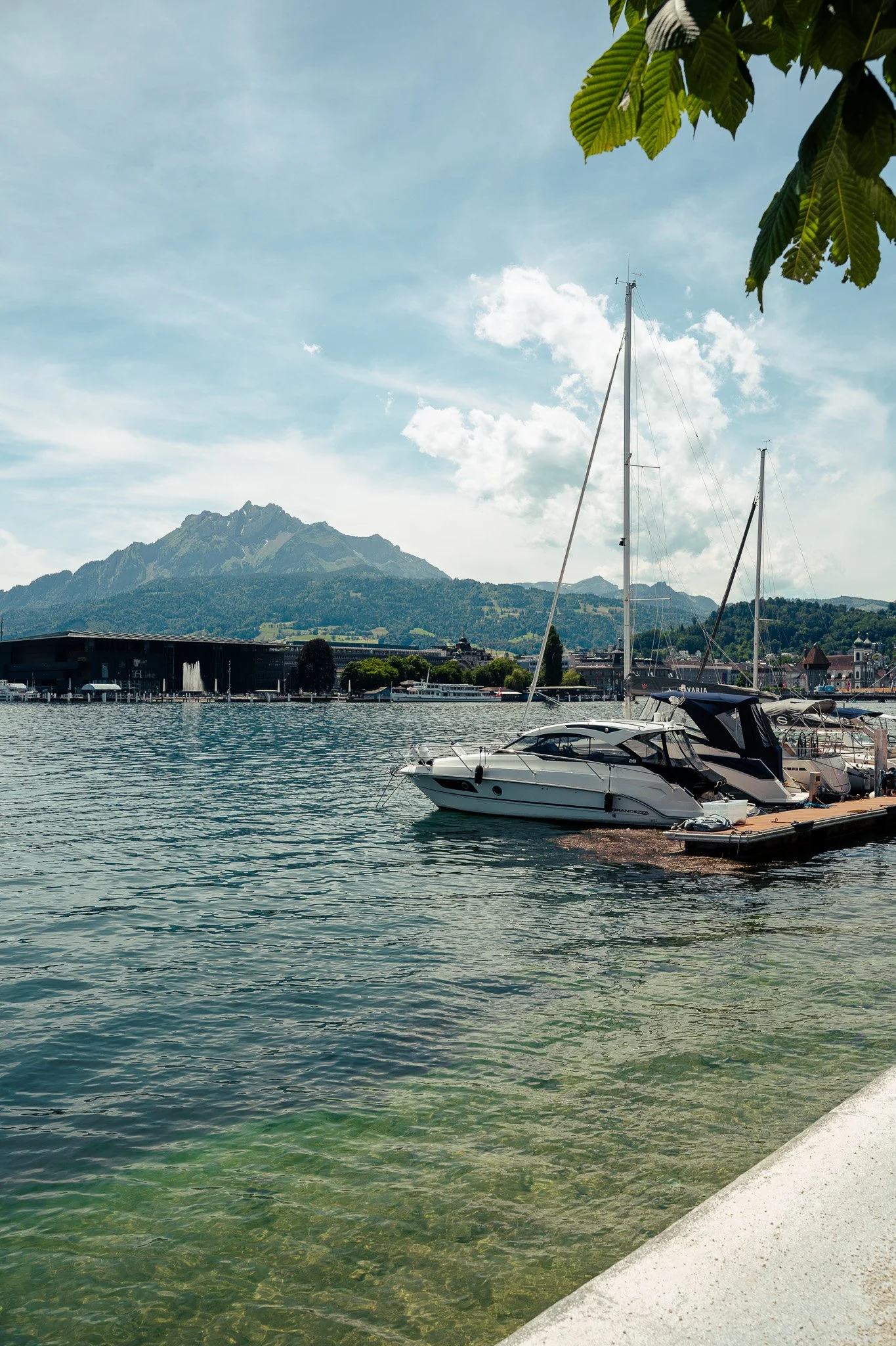 Sony A7 III - 20240618_02161.jpg