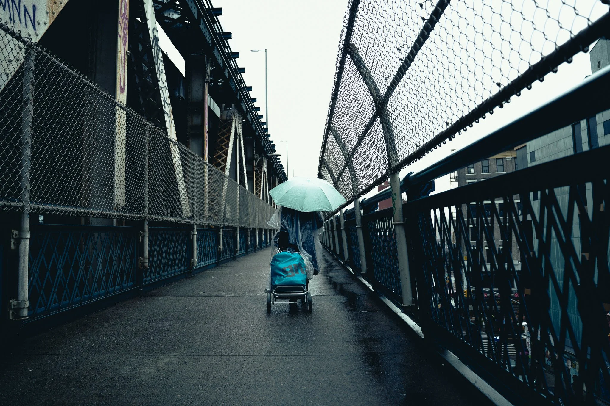 Sony A7 III - 20241216_06255.jpg