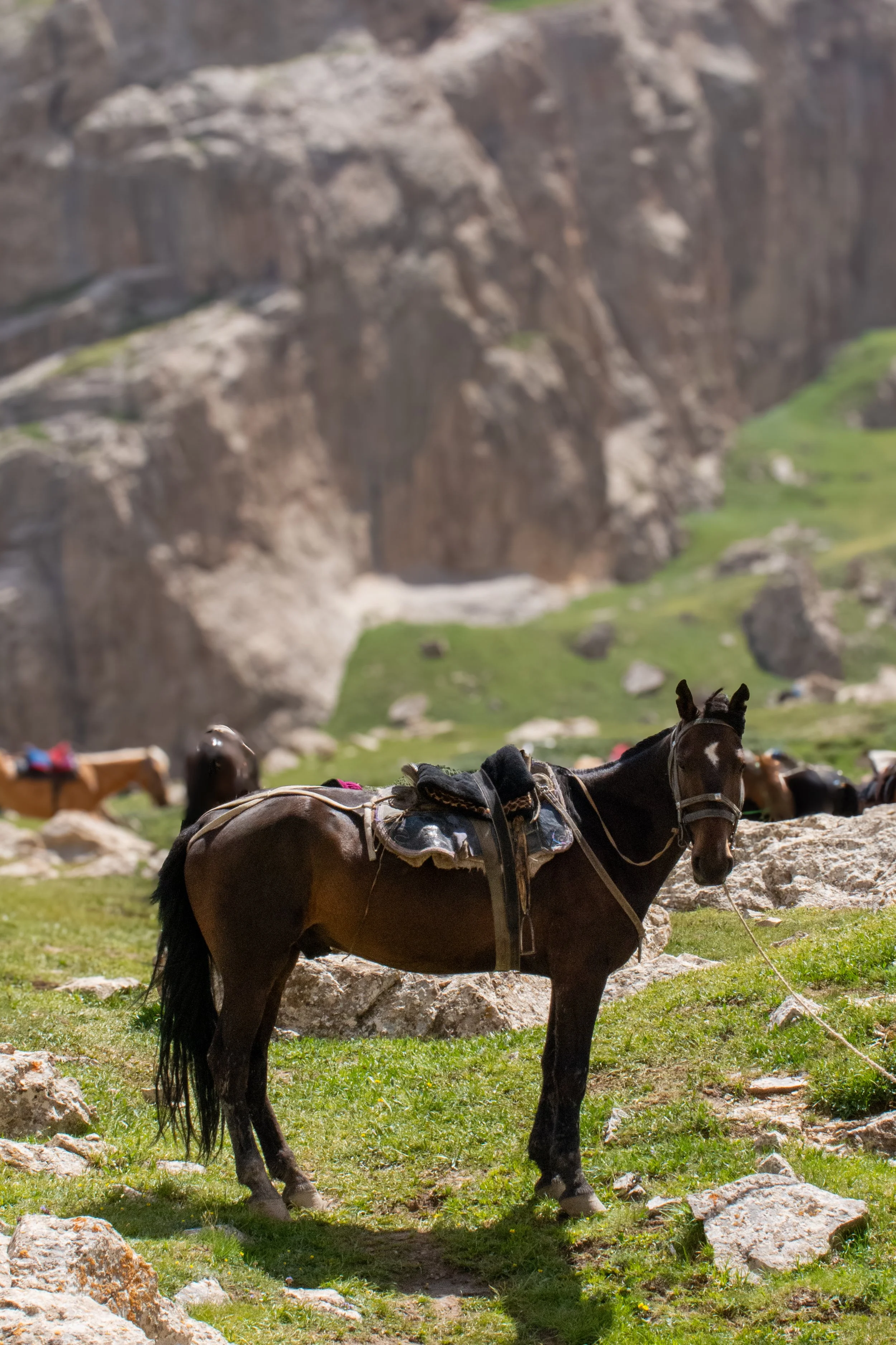 Kyrgyzstan-059.jpg