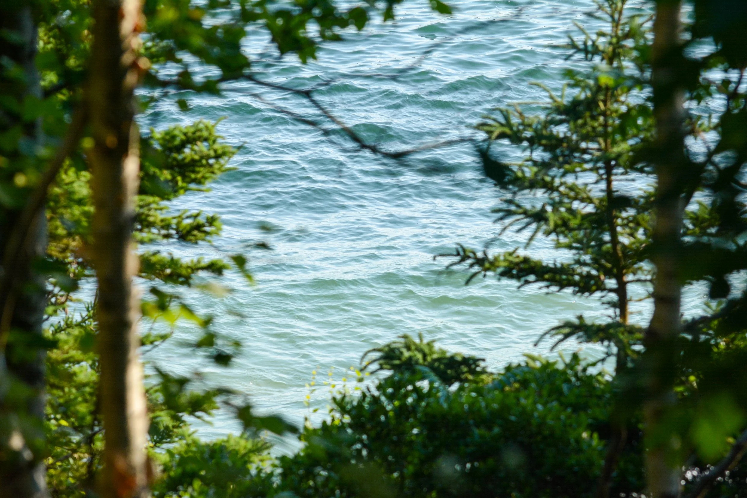 Maine-45.jpg