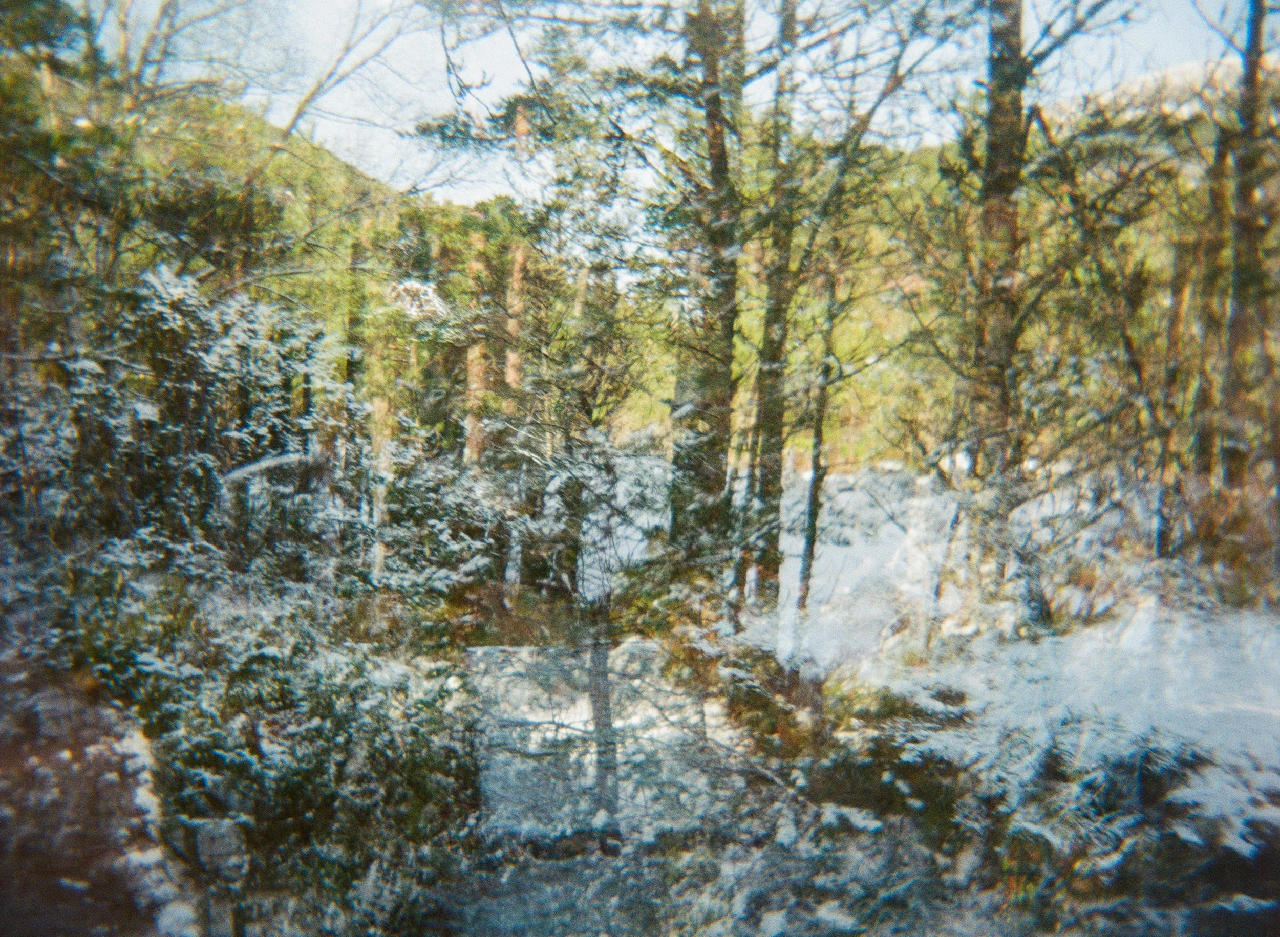 Cairngorms Film-8.jpg