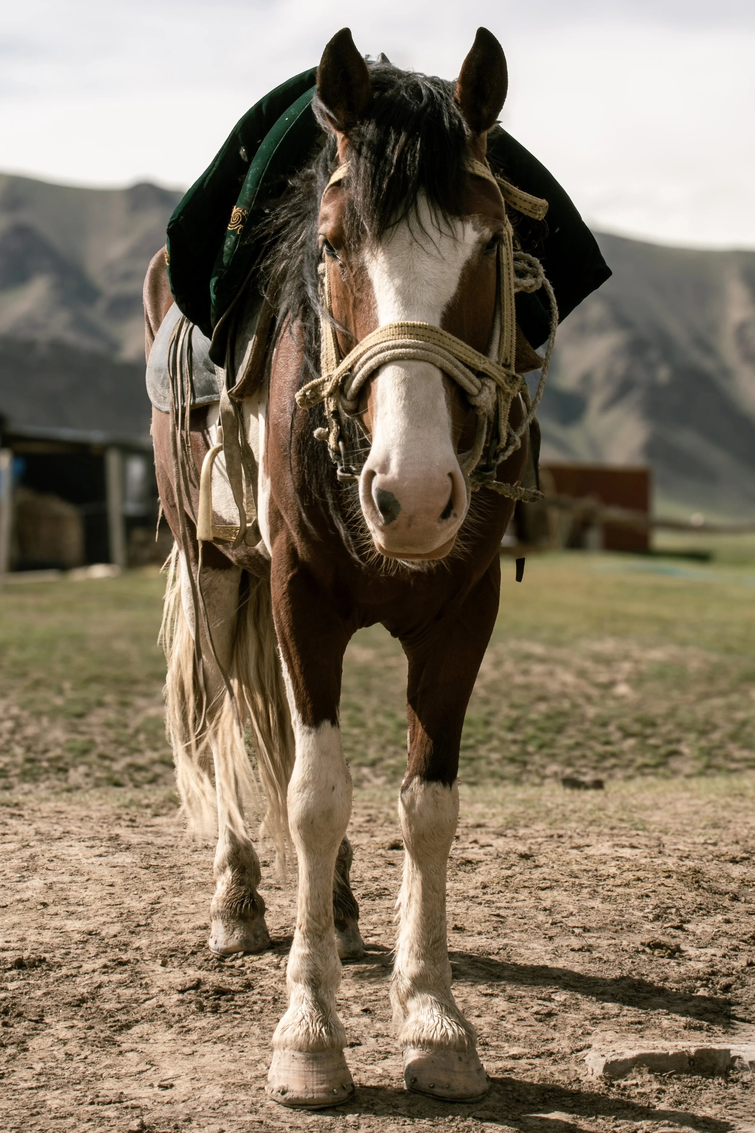 Kyrgyzstan-219.jpg