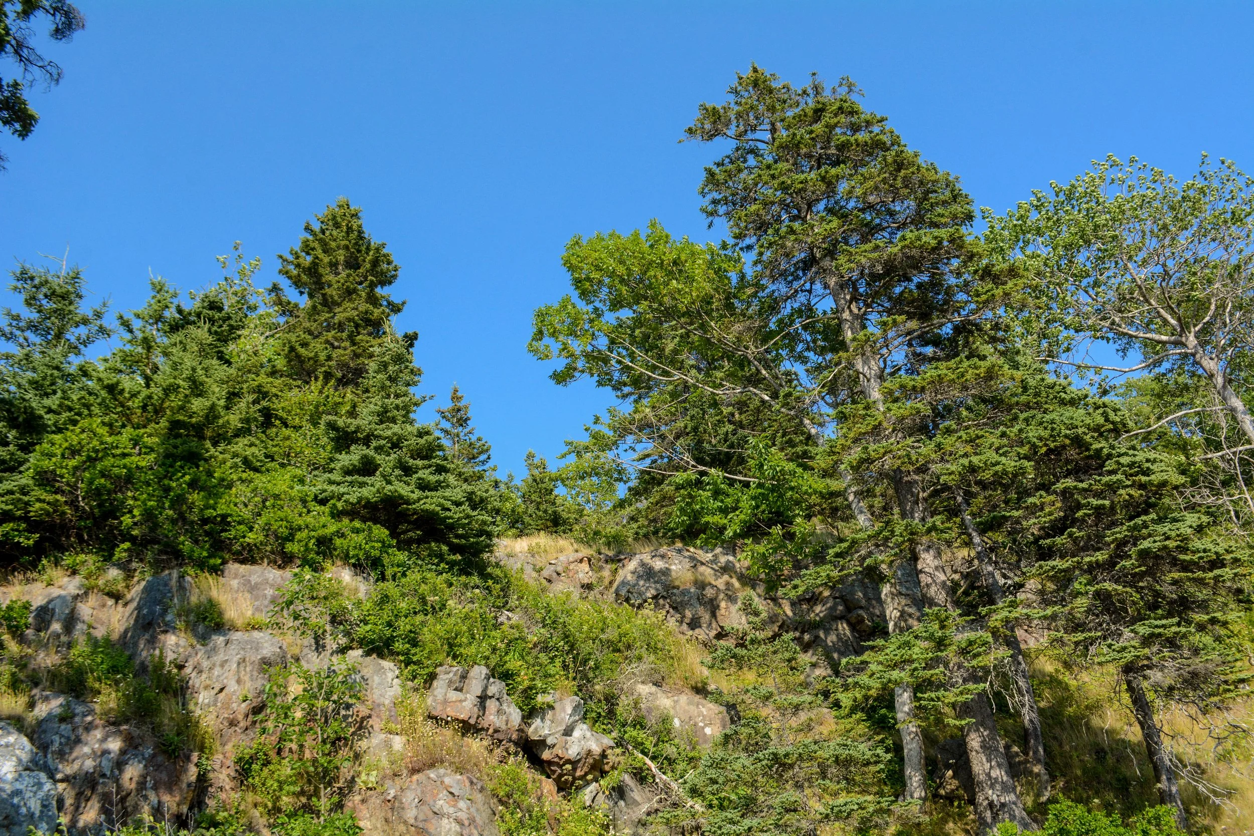 Maine-25.jpg