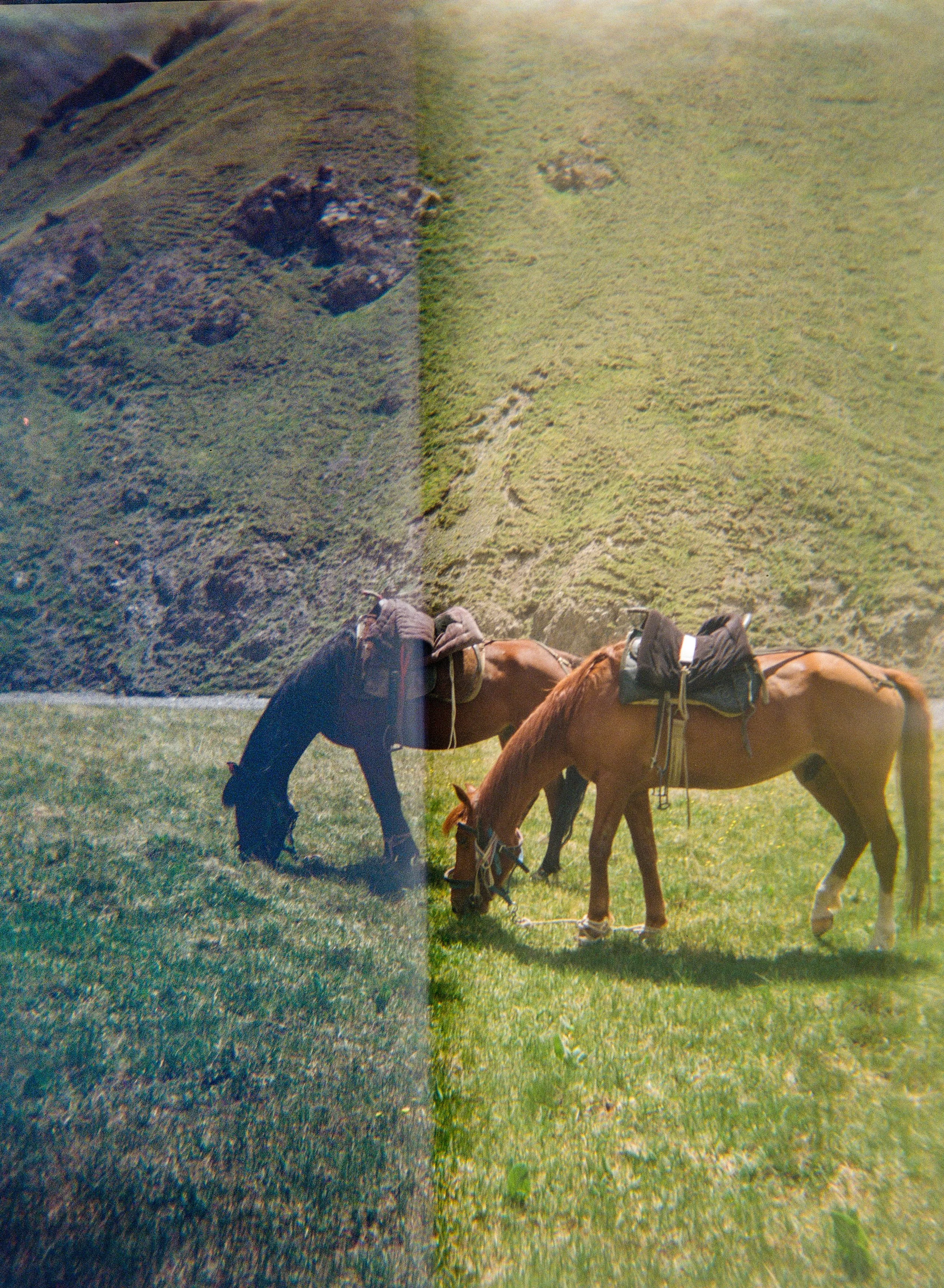 Kyrgyzstan-Film-18.jpg
