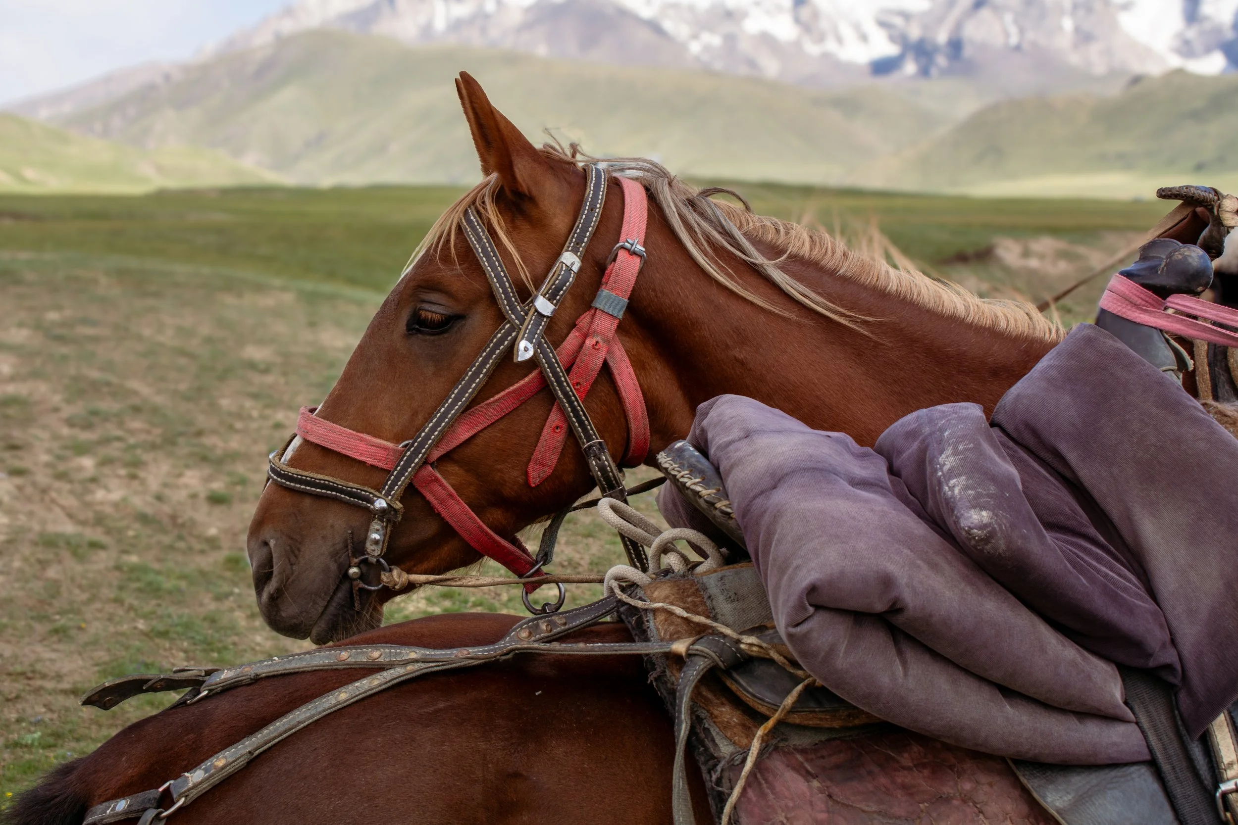 Kyrgyzstan-225.jpg