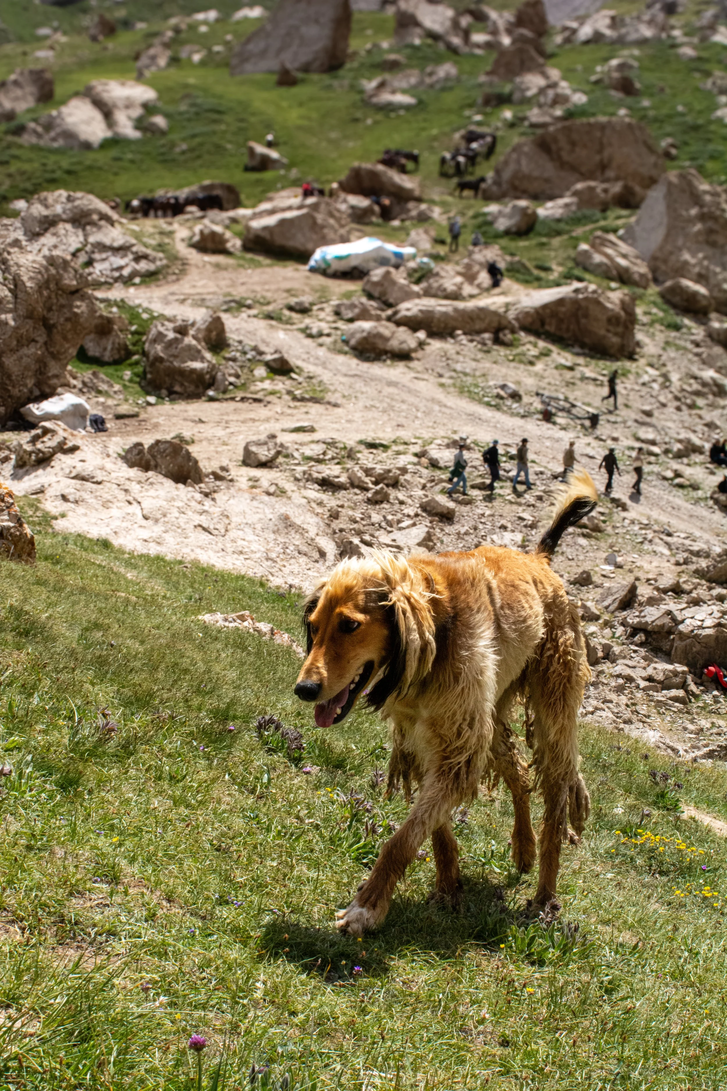 Kyrgyzstan-066.jpg