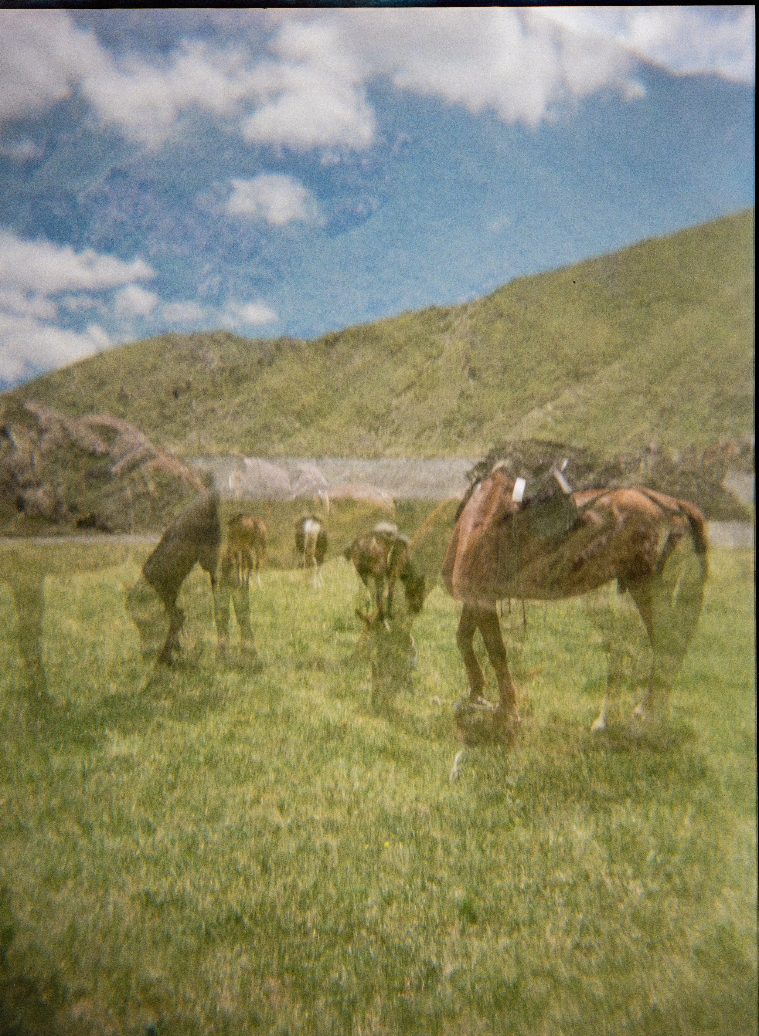 Kyrgyzstan-Film-17.jpg